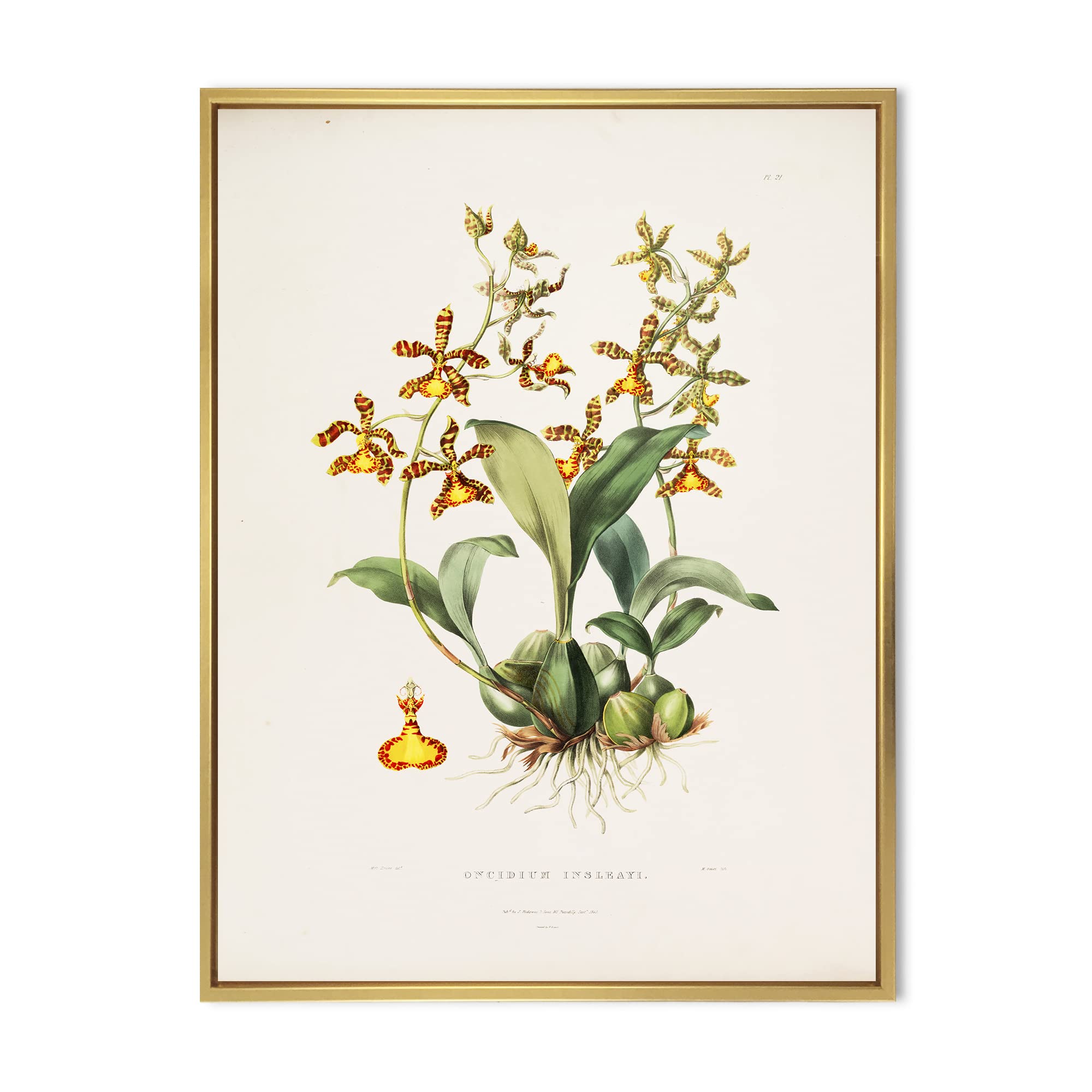 Vintage Floral Canvas Wall Art Print - Traditional Framed Home Decor for Living Room, Bedroom & Office - Ready to Hang Flower Painting for Housewarming Gift & Interior Design