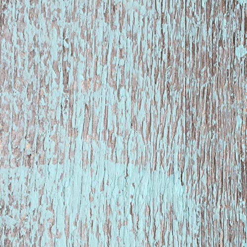 Robins Egg Blue