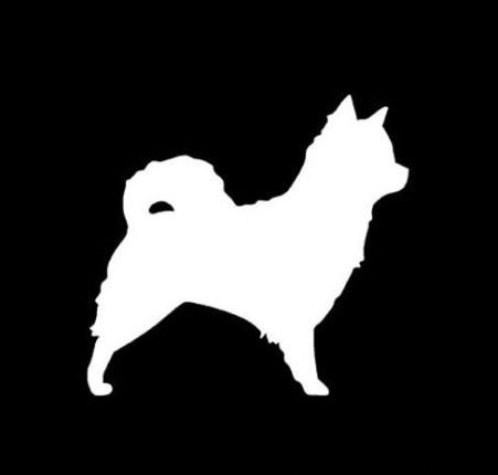 Long Haired Chihuahua Dog Breed Decal Sticker - Die Cut Vinyl Decal for Windows, Cars, Trucks, Tool Boxes, Laptops & MacBook - Perfect for Home Decor, Vehicle Customization & Personalizing Devices