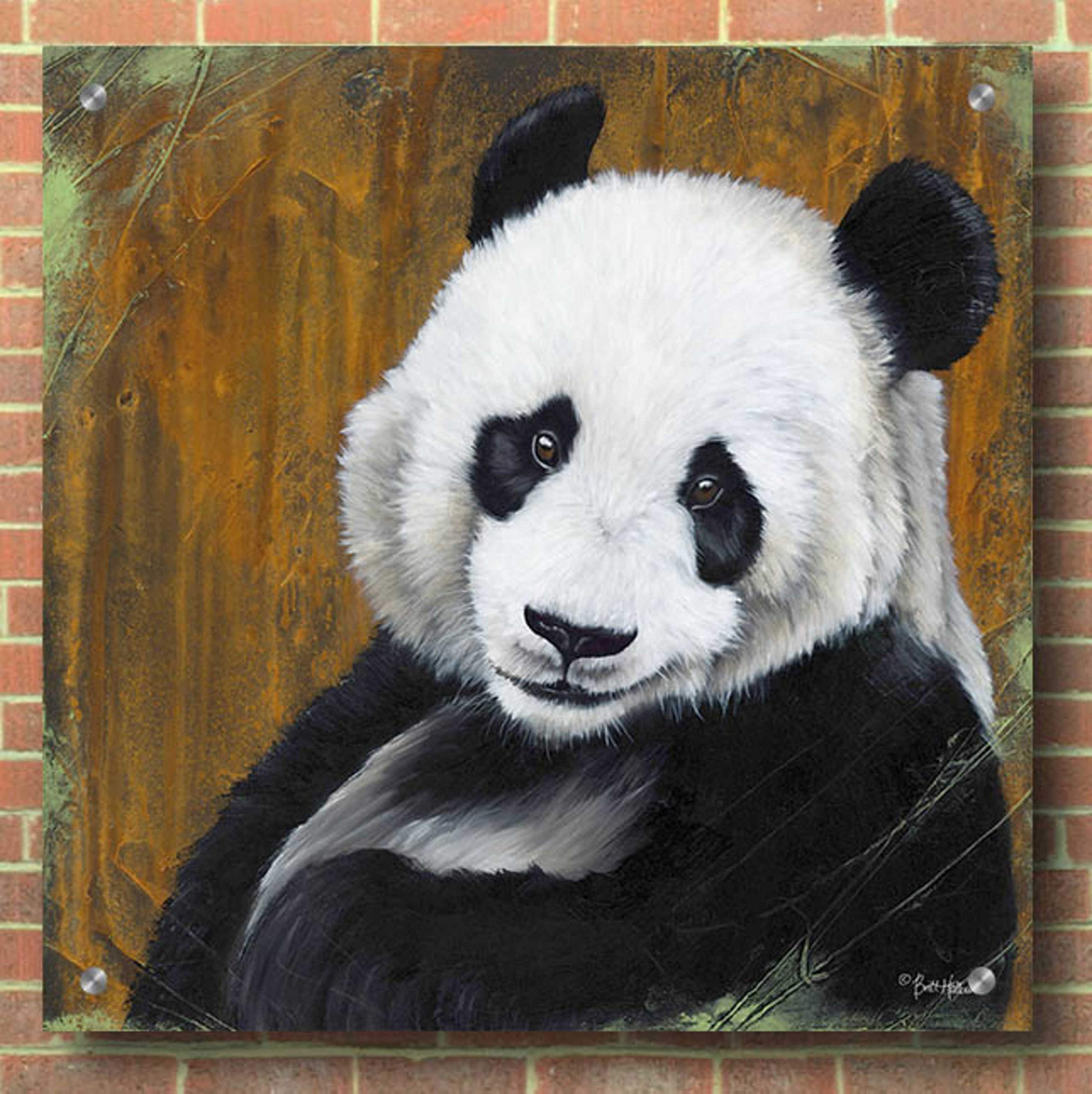 Epic Art 'Panda Smile' by Britt Hallowell - 36x36 Inch Acrylic Glass Wall Decor - Modern Home & Office Artwork - Perfect for Living Room, Bedroom or Gallery Wall Display
