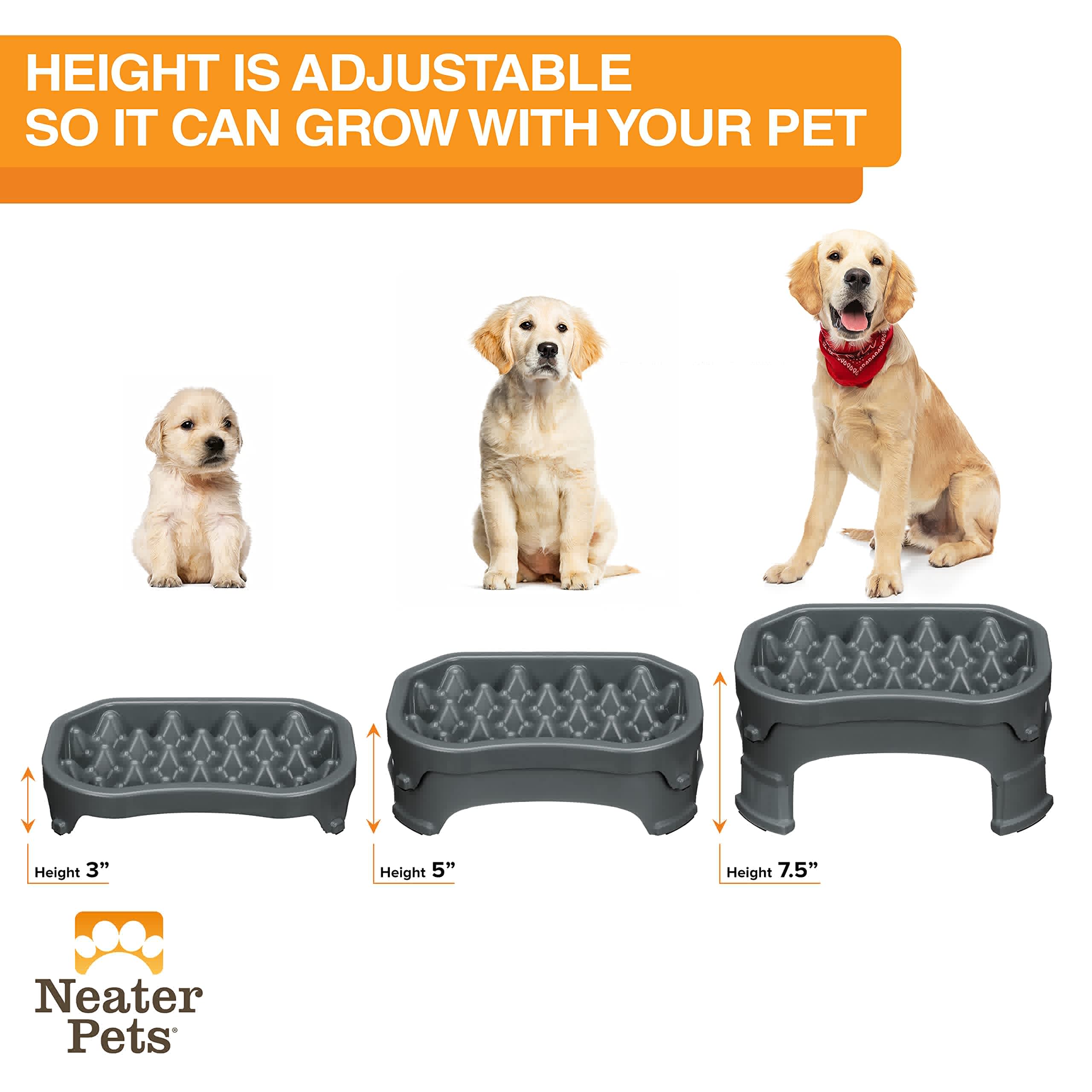 Neater Raised Slow Feeder Dog Bowl - Adjustable Elevated Pet Food Dish for Medium & Large Dogs - 6 Cup Capacity in Gunmetal - Perfect for Mealtime & Portion Control - Reduces Bloat & Improves Digestion
