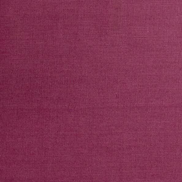 Beet