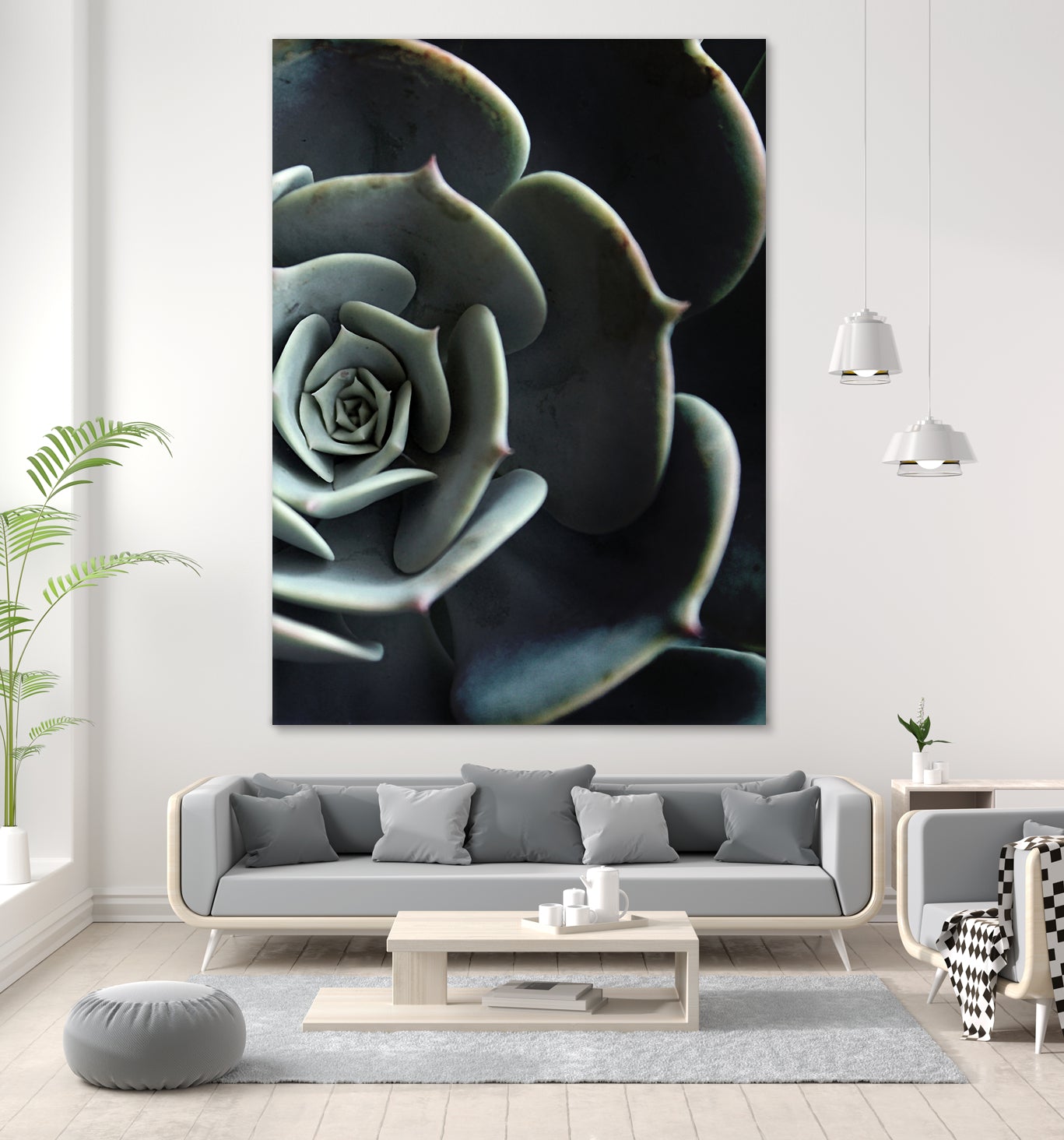 DARKSIDE OF SUCCULENTS XVI B - Unique Dark-Themed Succulent Collection for Home Decor, Office Plants & Gothic Garden Design