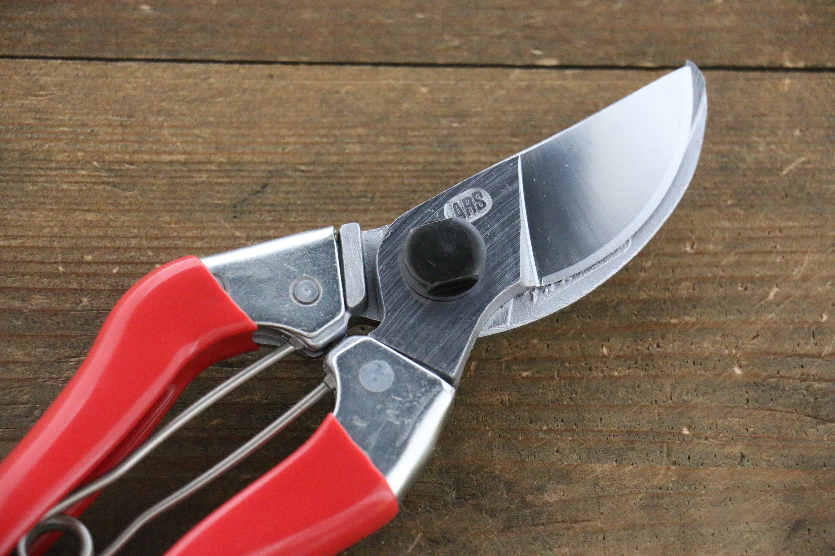 ARS 120S Professional Pruning Shears - Sharp Bypass Garden Clippers for Precise Trimming of Plants, Flowers, and Small Branches - Ideal for Gardening, Landscaping, and Horticulture Work