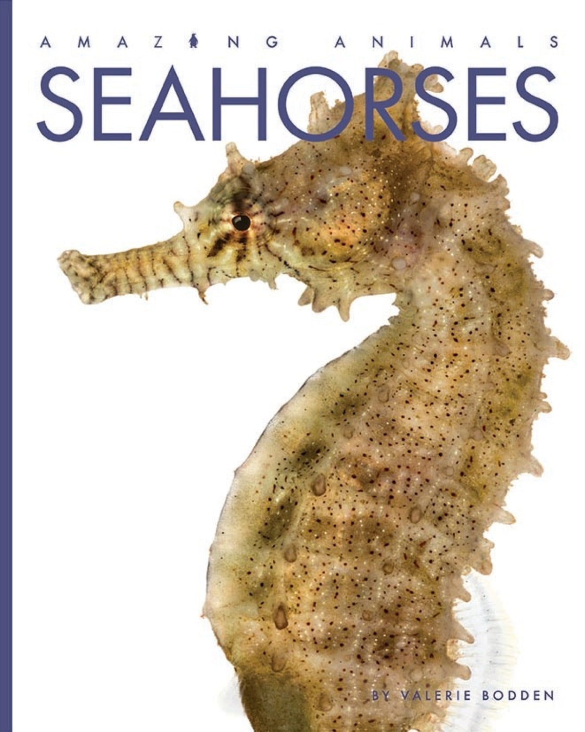 Amazing Animals (2014) - Seahorses Documentary | Marine Life Educational Film for Kids & Adults | Perfect for Classroom Learning & Home Entertainment