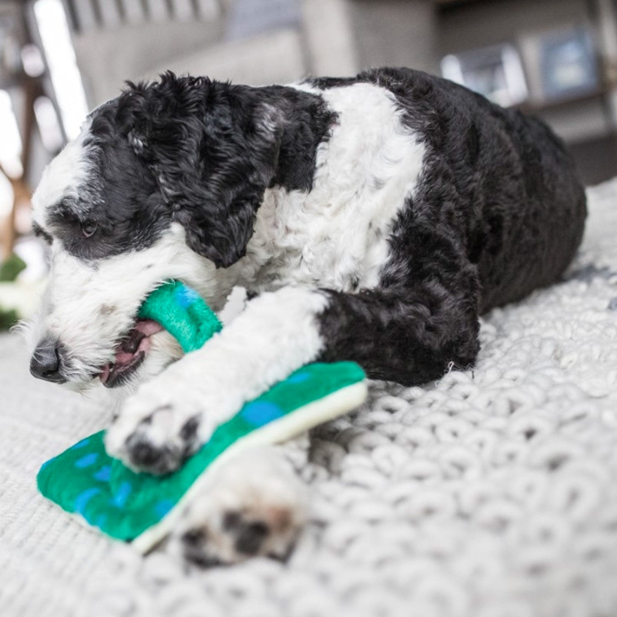 Fluff & Tuff Gordon Stingray Blue & Green Durable Dog Chew Toy for Aggressive Chewers - Perfect for Interactive Play & Training Sessions