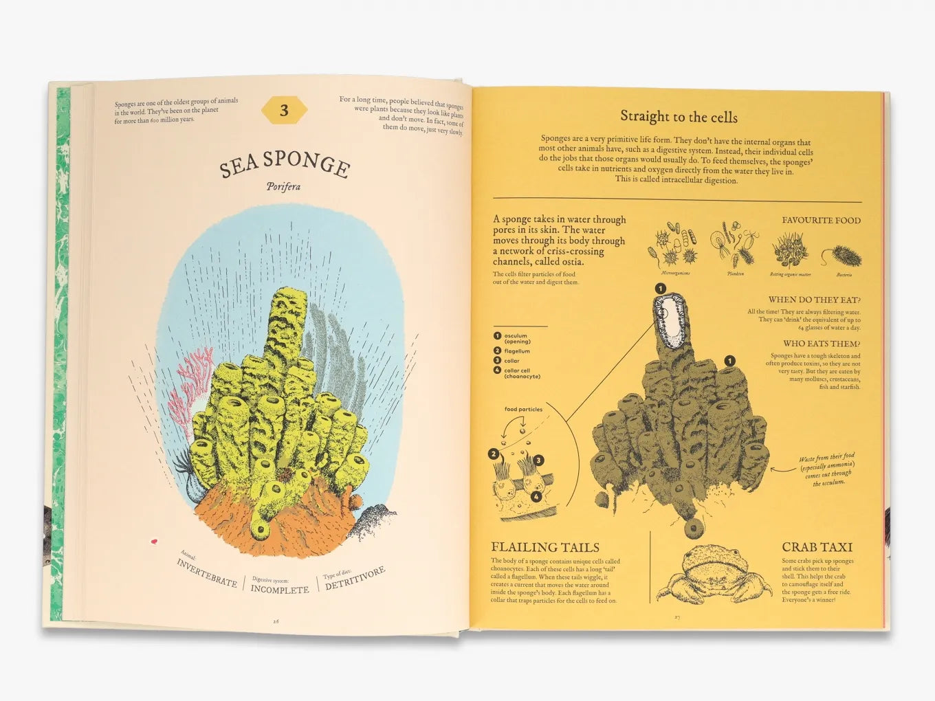 Eatopedia - Premium Healthy Snacks & Organic Food Online Store | Buy Nutritious Snacks, Gluten-Free & Vegan Options for Home, Office & Travel