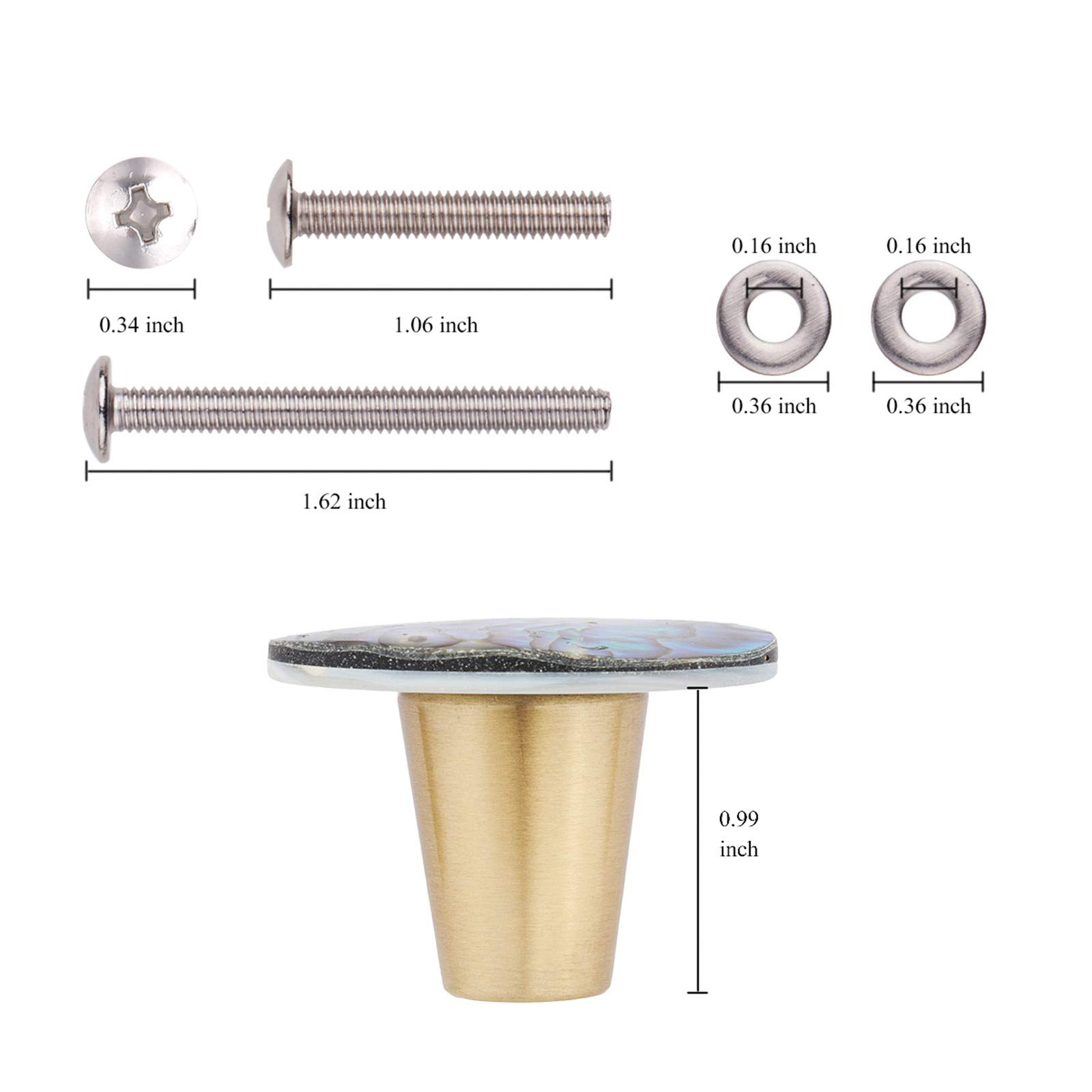 Brass Abalone Shell Cabinet Knobs Set - 4pcs with Screws for Drawer & Closet