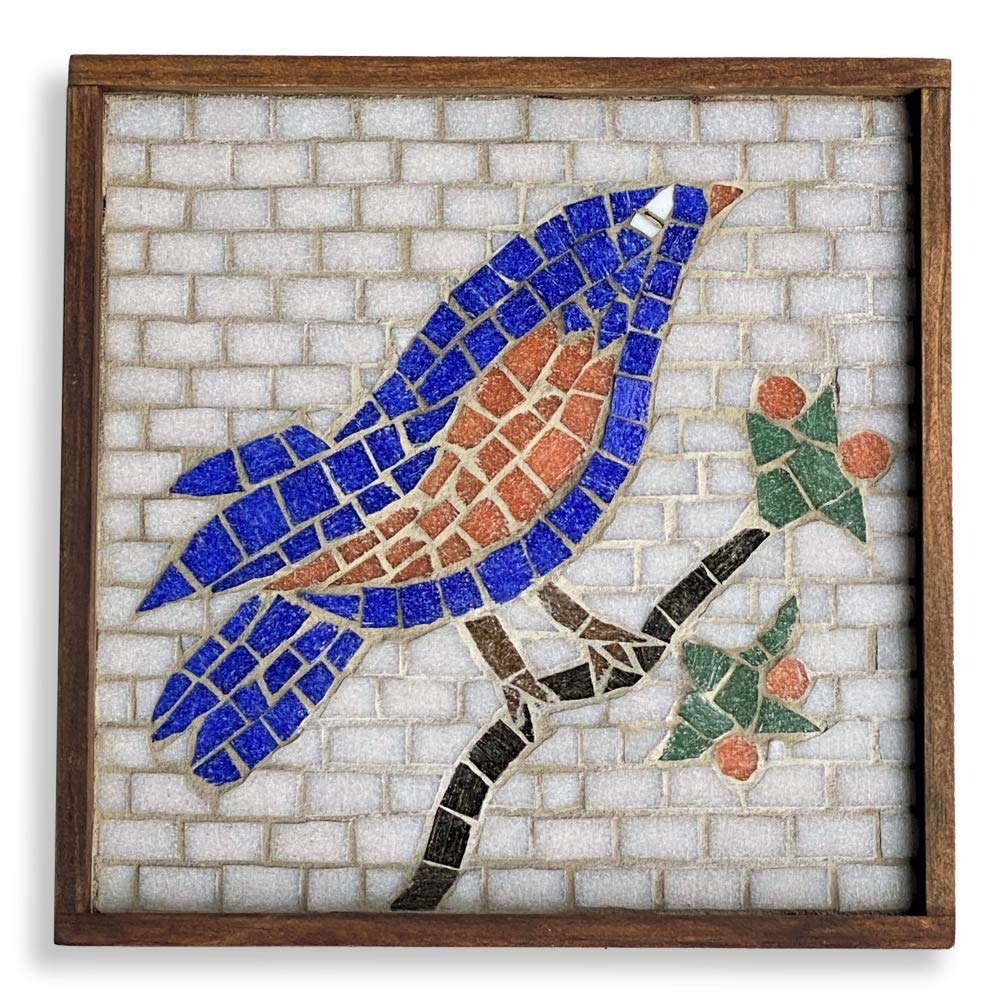 Contemporary Glass Mosaic Kit with Leponitt Tile Nipper - 8.5