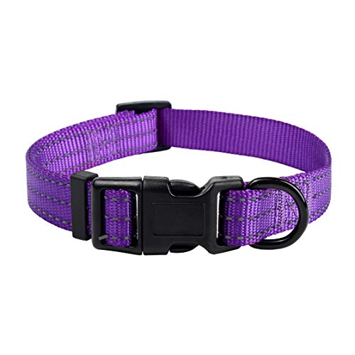 3 Reflective Line-Purple