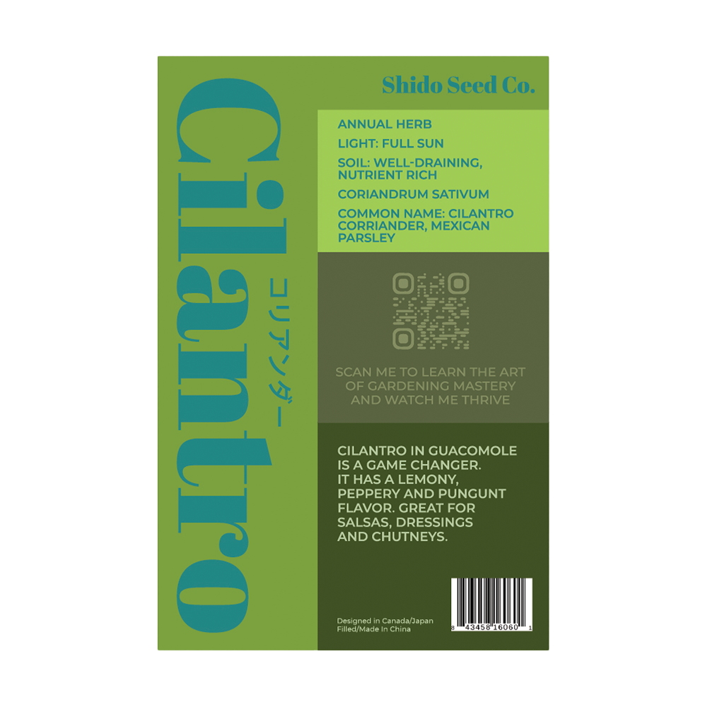 Organic Cilantro Herb Seeds for Planting - Non-GMO, High Germination Rate - Perfect for Home Garden, Indoor Herb Pots & Mexican Cuisine Cooking