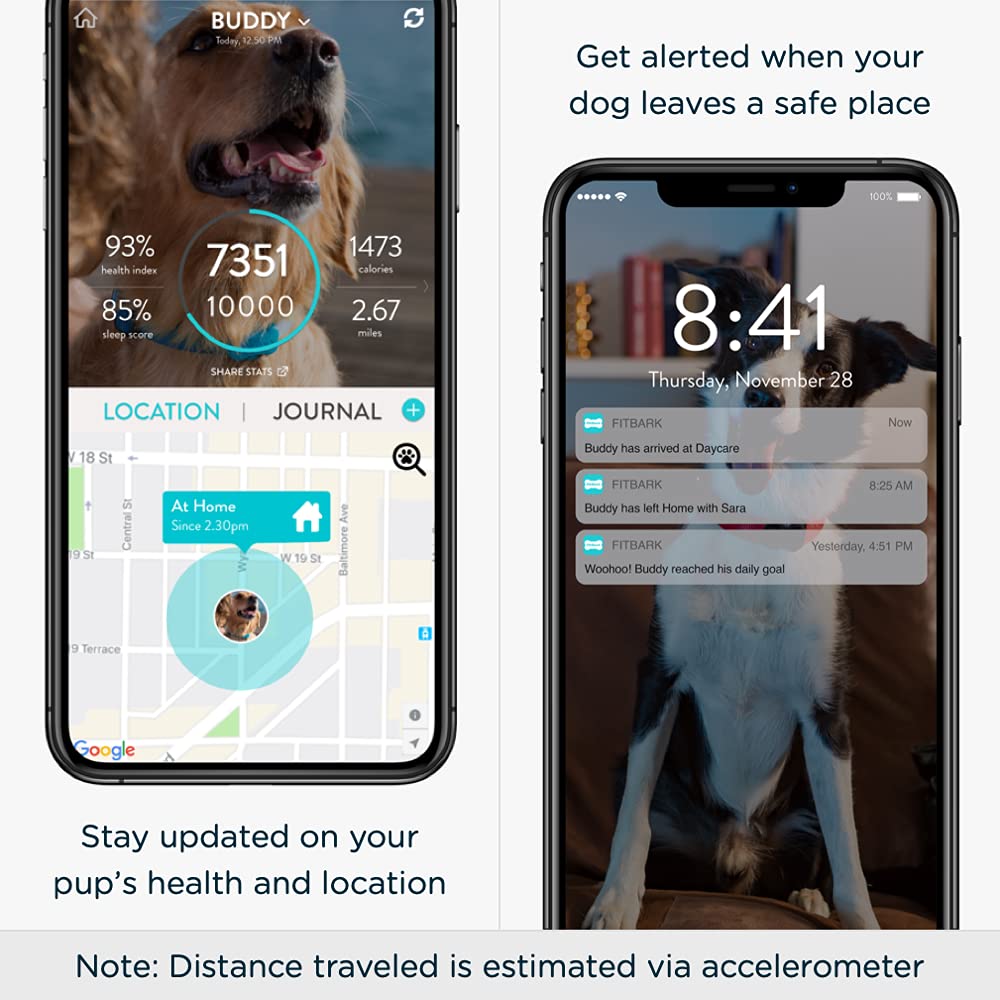 **Seresto 8-Month Flea & Tick Collar for Large Dogs (18+ lbs) & FitBark GPS Dog Tracker Bundle – Free 1-Year GPS Subscription ($255.33 Value) – Ideal for Outdoor Adventures & Pet Safety**
