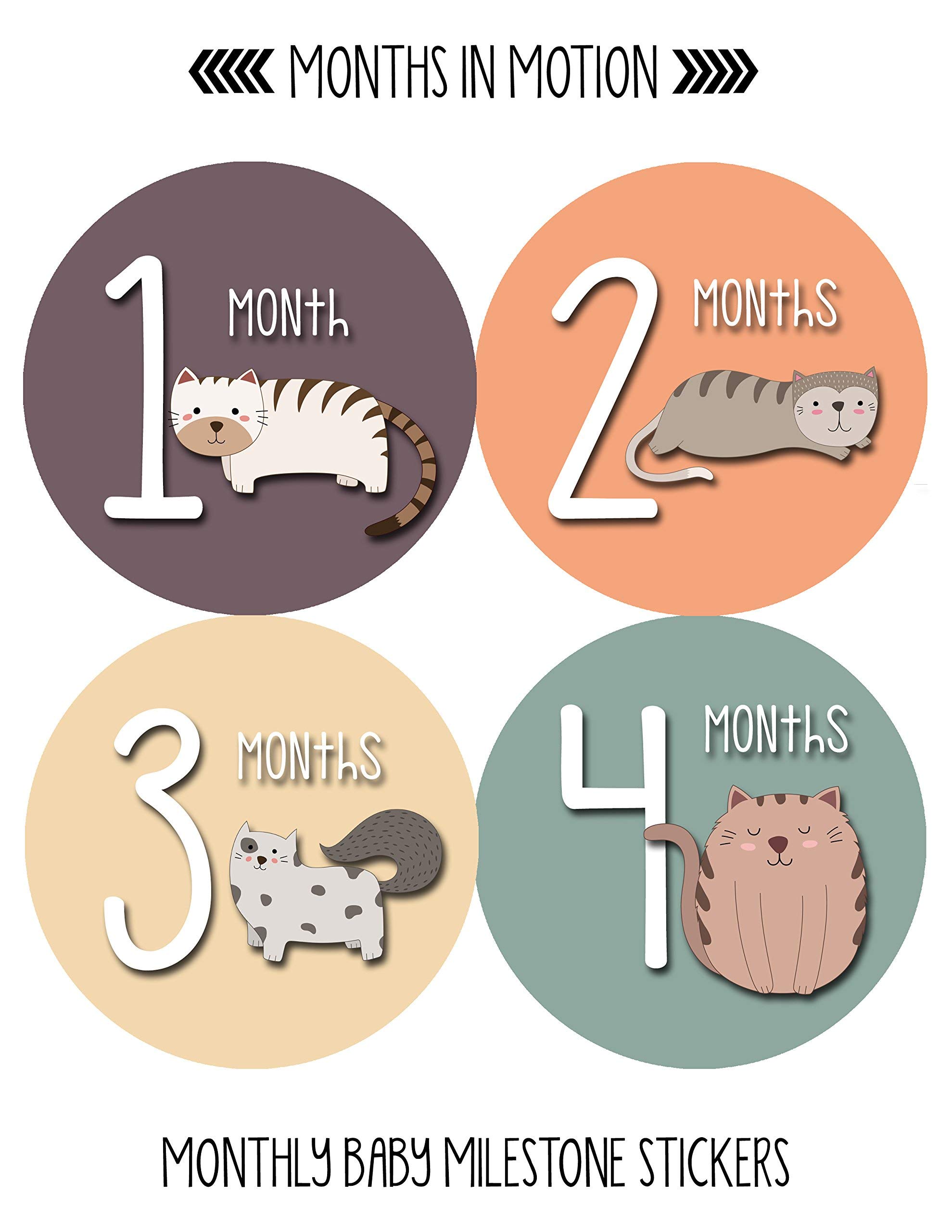 Baby Monthly Milestone Stickers for Newborn Girls - Cute Cat & Kitten Design - Perfect for Baby Photo Shoots, Scrapbooking & First Year Memory Keepsakes