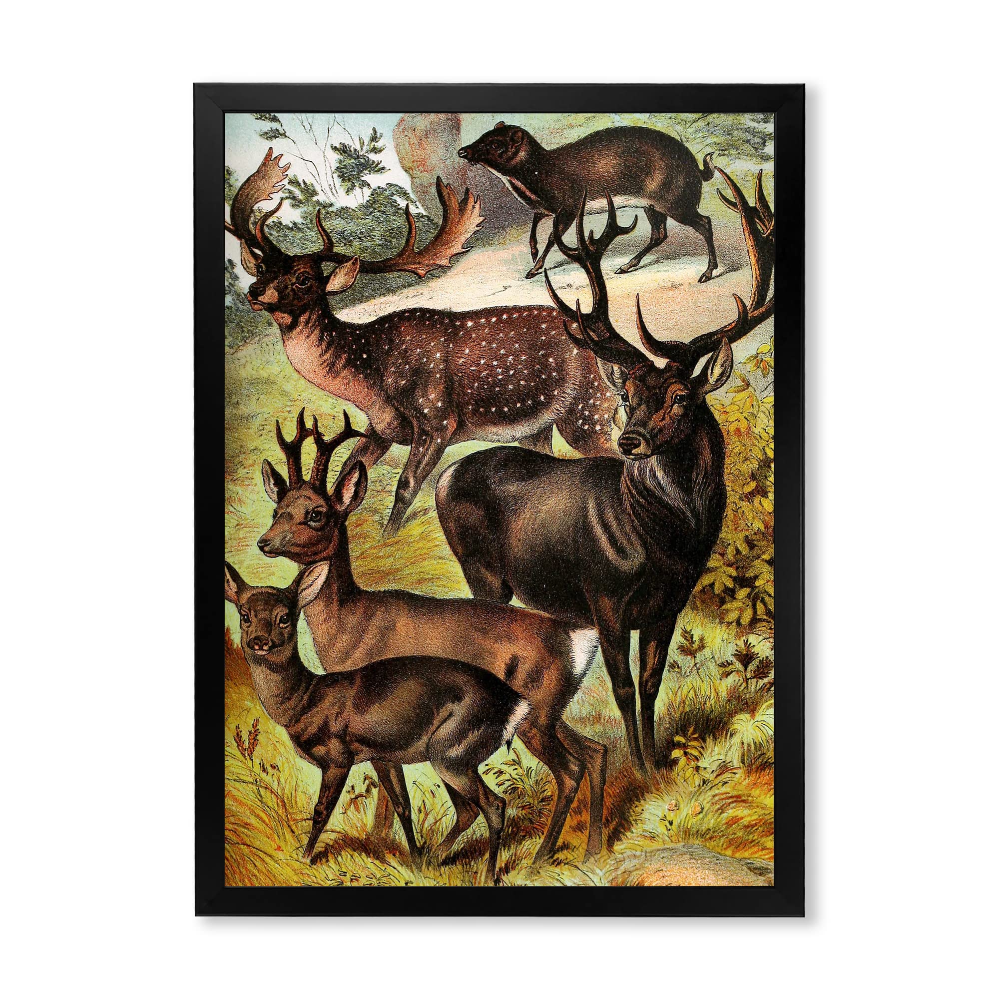 Vintage Mammals Farmhouse Framed Wall Art - Rustic Animal Decor for Living Room, Bedroom & Office - Perfect for Home, Apartment & Cabin Decorating
