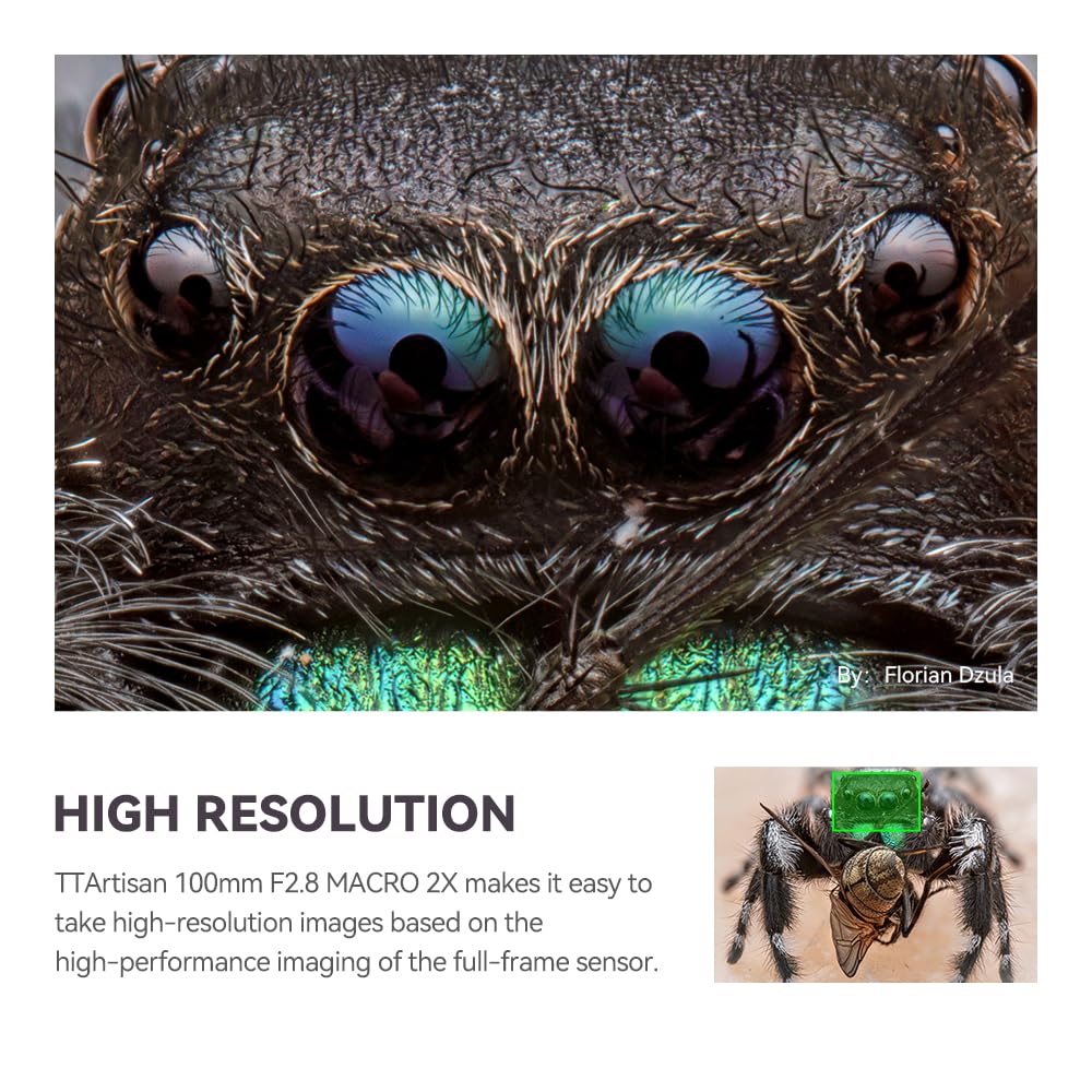 TTartisan 100mm F2.8 Macro 2X Full-frame Manual Focus Lens for Canon EF Mount - Compatible with EOS 5D Mark IV, 6D Mark II, 90D | Perfect for Product Photography, Jewelry Shots & Close-up Nature Images