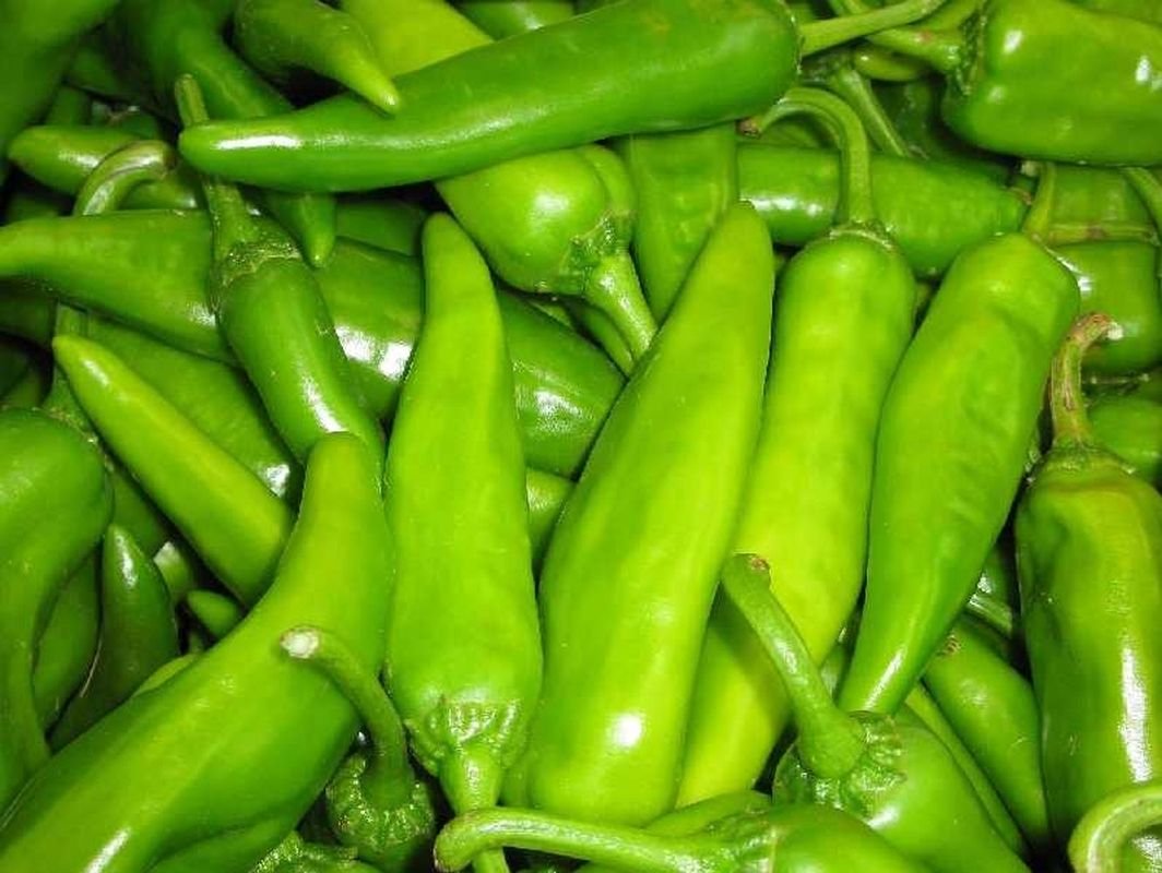 Hatch Double-X Hot Super Extra Hot Chile Pepper Seeds (25 Count) - Spicy for Cooking, Salsa, and Home Gardening