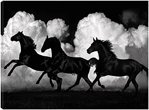 Wild Horses
