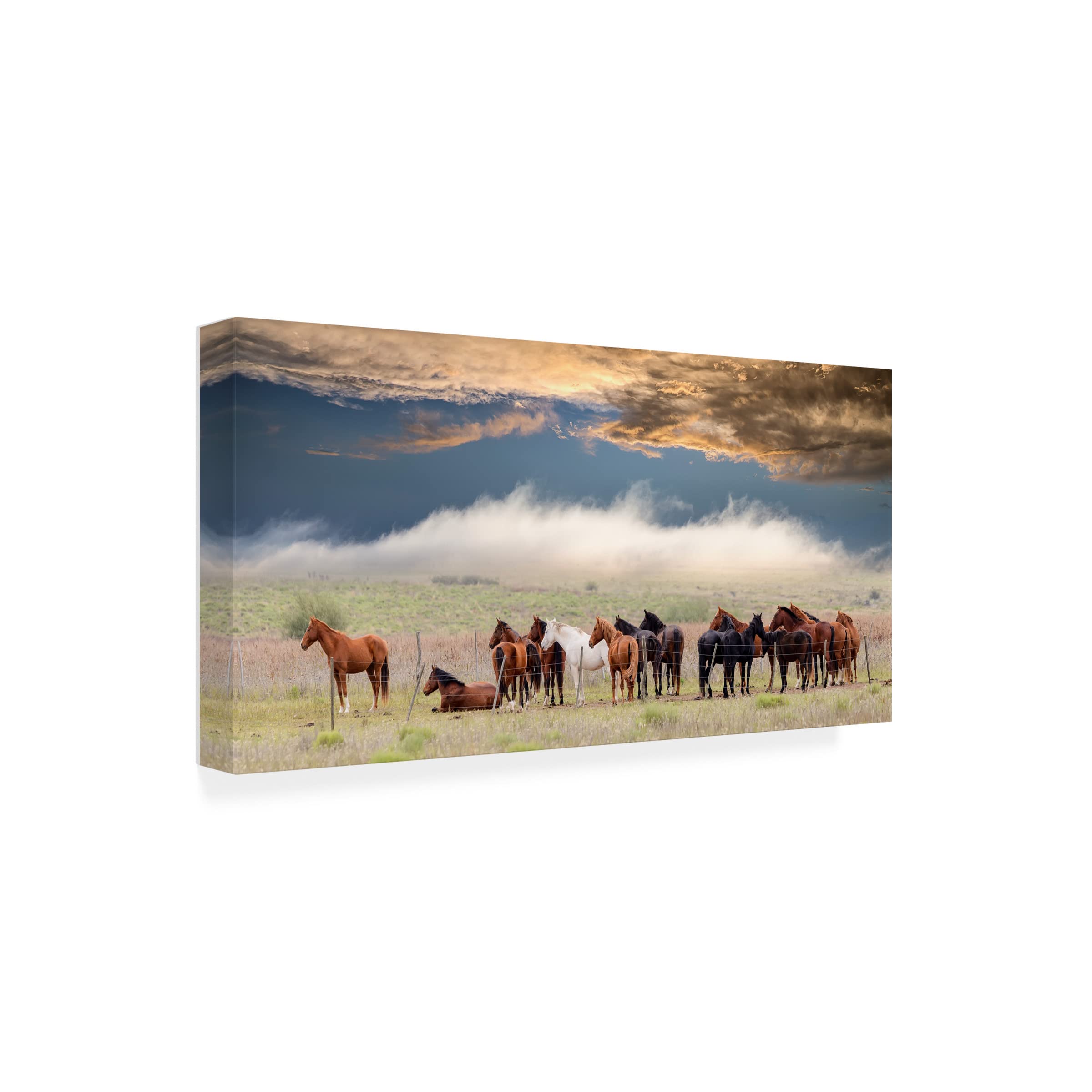 Trademark Fine Art 'Horses' Canvas Wall Art by Chechi Peinado - Elegant Equestrian Painting for Living Room, Bedroom & Office Decor