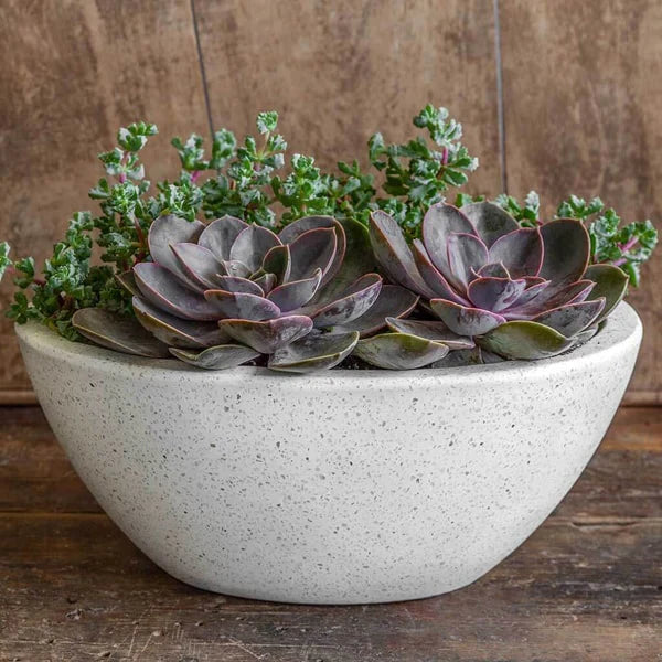 Geo Oval Bowl Planter - Terrazzo White - Set of 4 by Campania International - Perfect for Indoor Plants, Succulents, and Home Decor