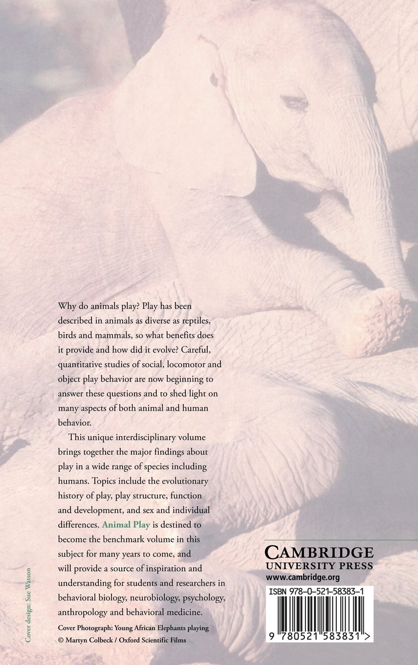 Animal Play: Evolutionary, Comparative and Ecological Perspectives - Exploring Animal Behavior for Research & Education