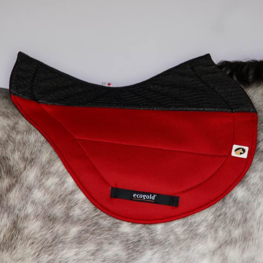 EcoGold Secure XC Cross Country Pad - Waterproof & Durable Riding Pad for Equestrian Sports, Horse Training & Trail Riding