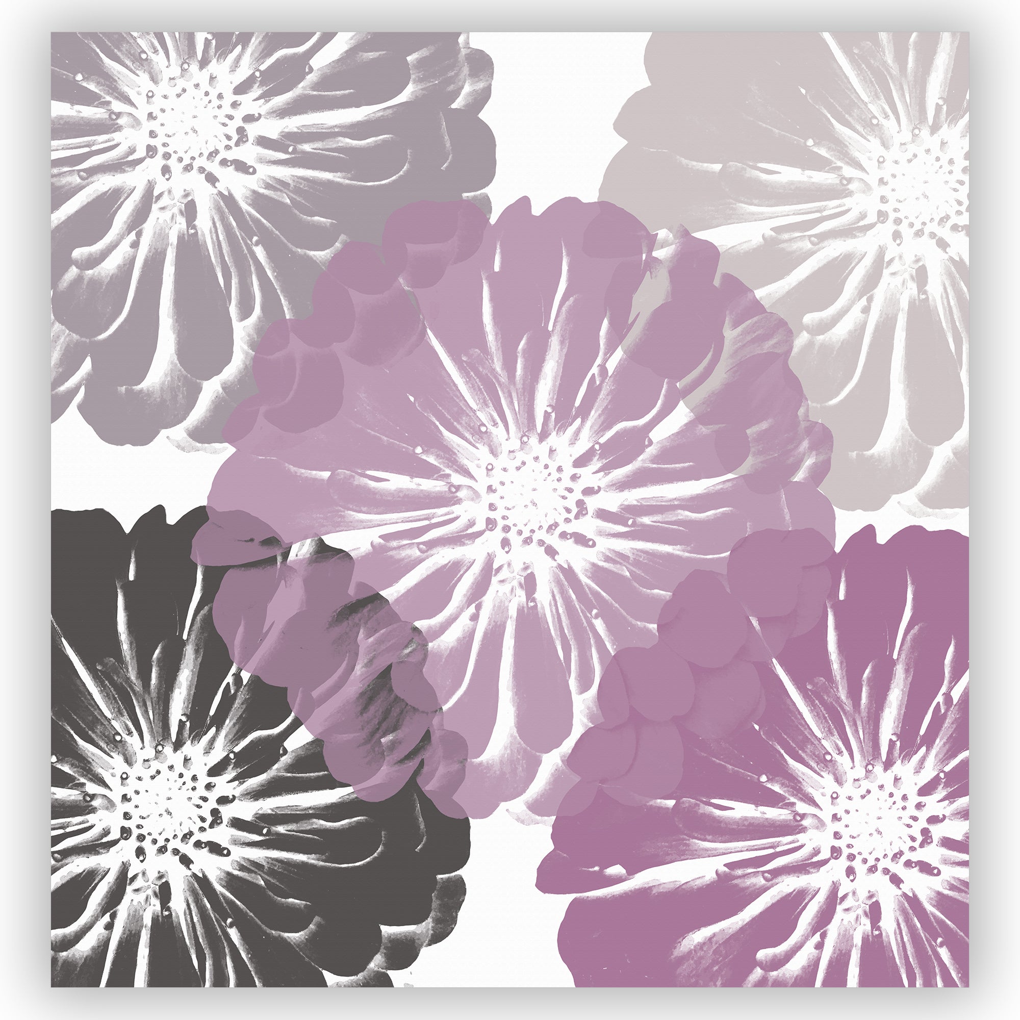 Pink and Gray Zinnia Giant Flowers Shower Curtain - Modern Botanical Art Print on White Fabric - Perfect for Bathroom Decor and Spa-Like Retreats