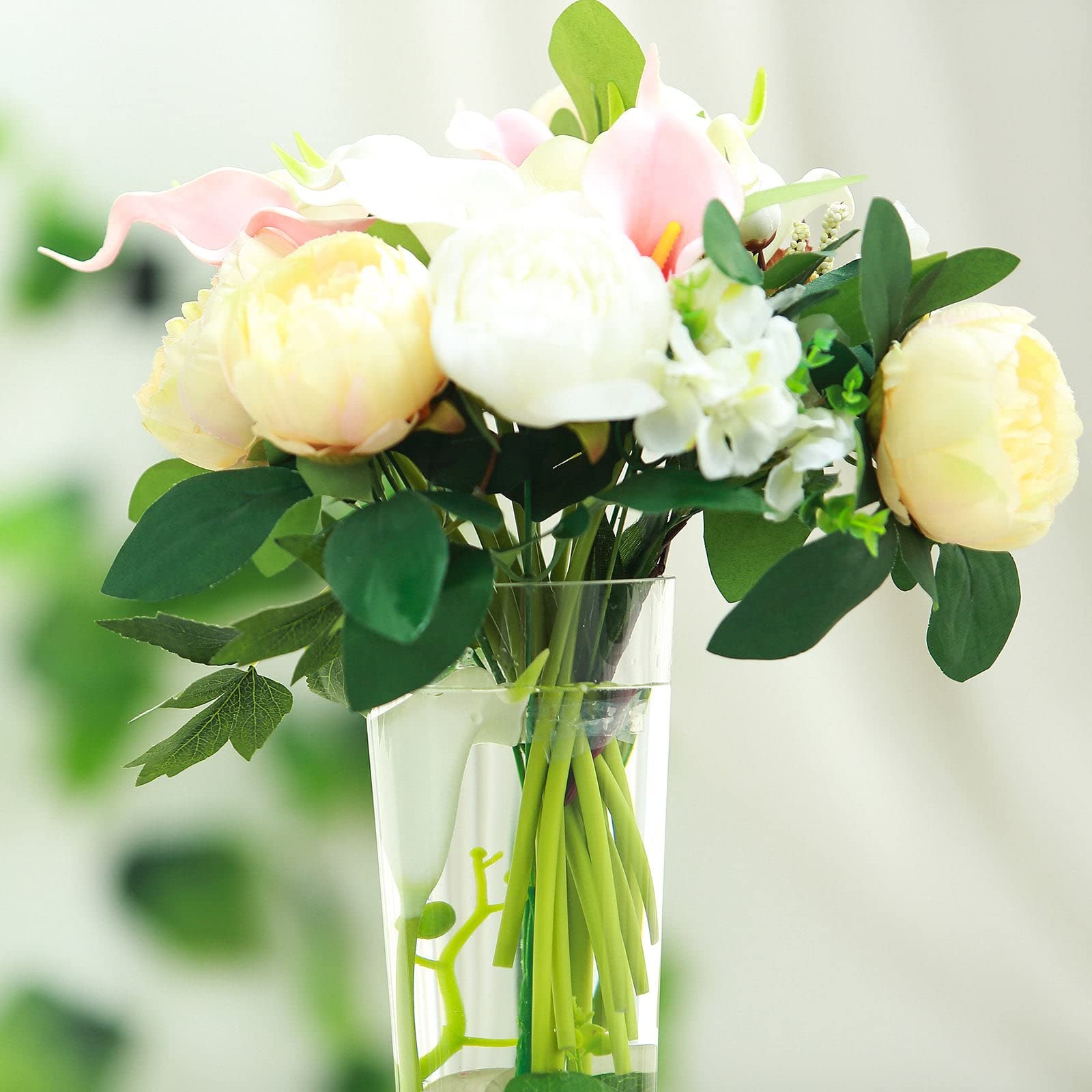 6-Piece Set of 24