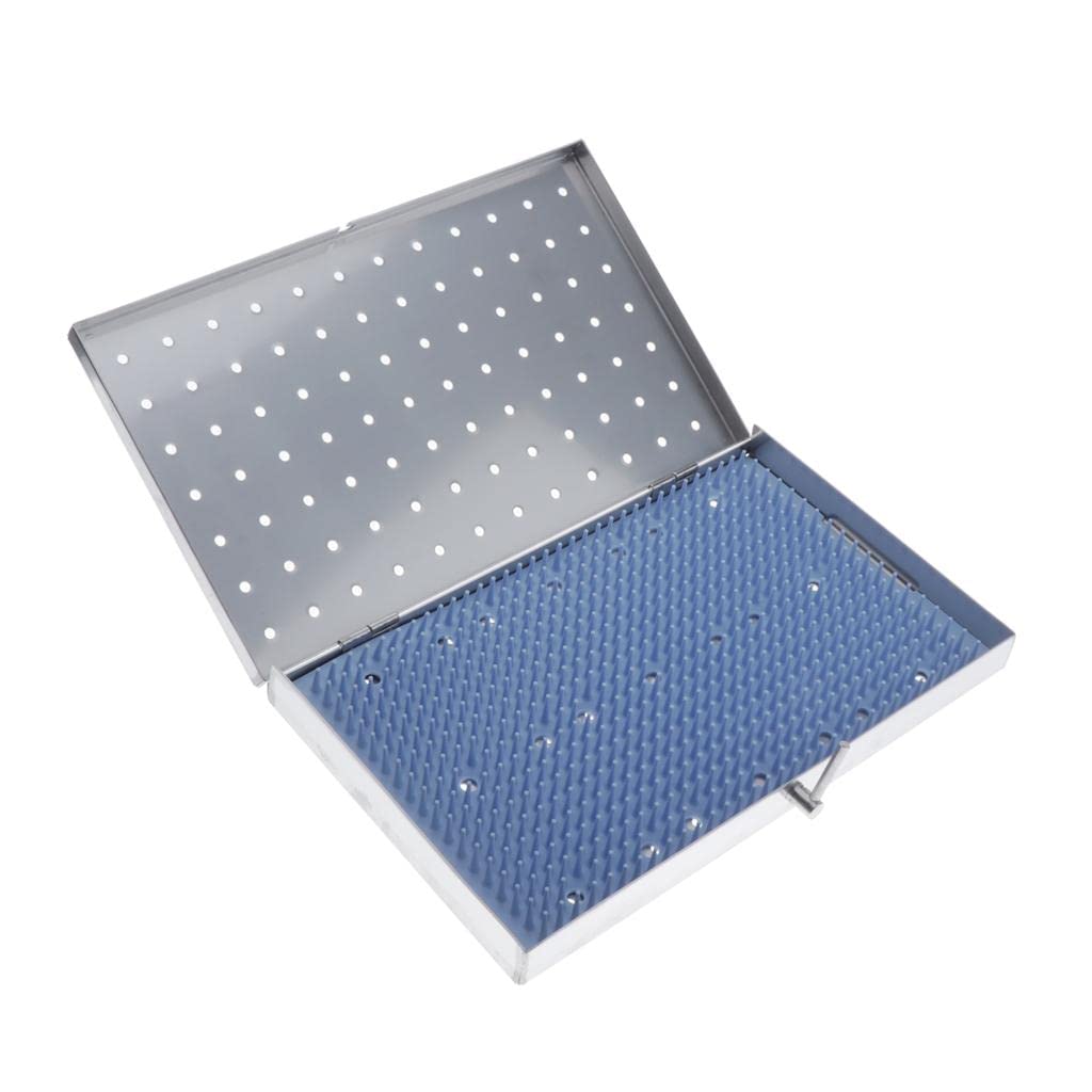 Jojomis Pro Instruments Silicone Disinfection Box Sterilizer Tray - Large UV Sanitizer for Dental Tools, Jewelry & Small Items (Silver & Blue) | Portable Germ-Free Storage for Home, Travel & Medical Use