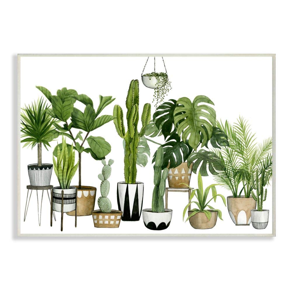 Stupell Industries Boho Plant Wall Art - Watercolor Cacti & Succulents in Geometric Pots by Grace Popp, 10x15 Inches, Green | Perfect for Living Room, Bedroom & Office Decor