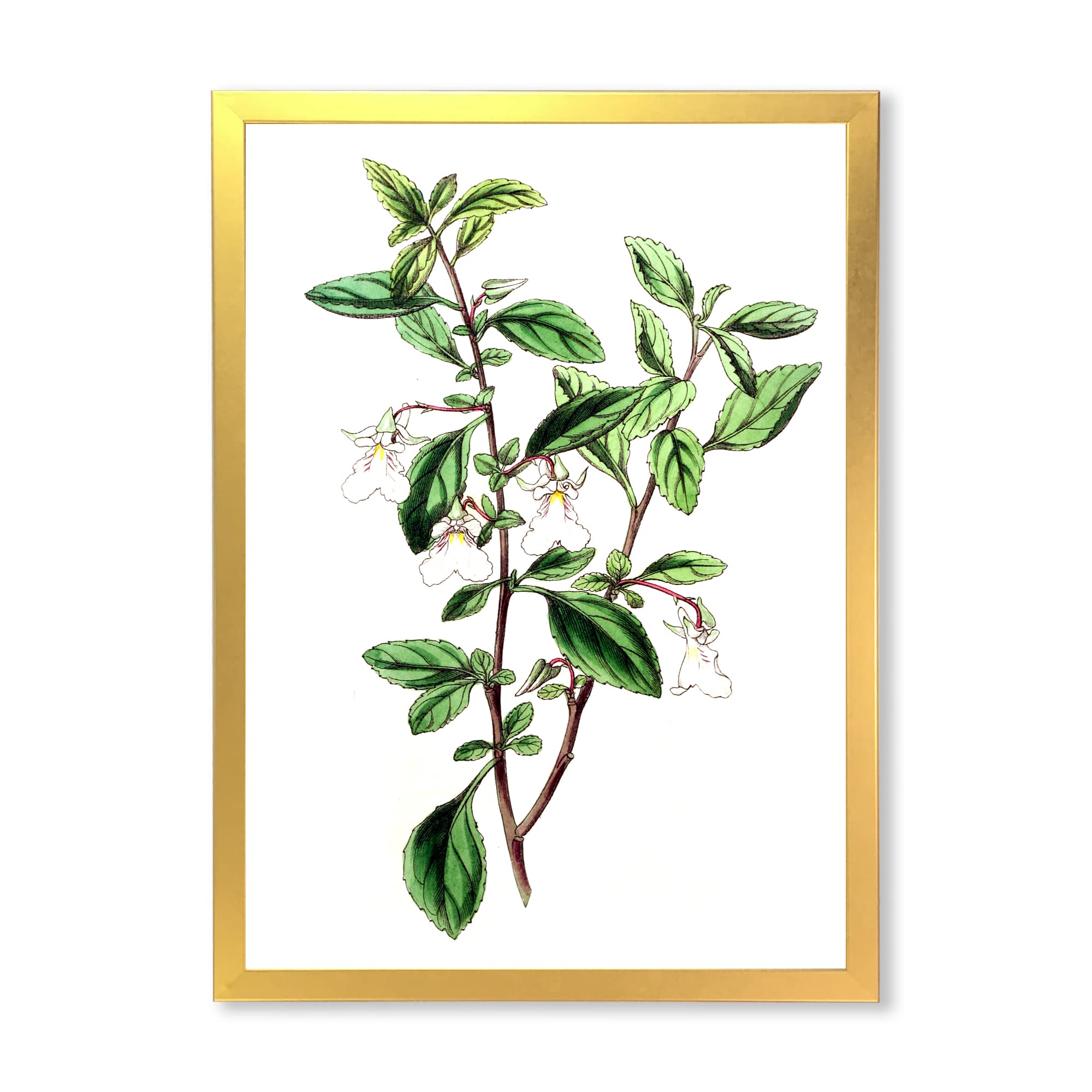 Vintage Green Leaves Plants VII Traditional Framed Wall Art - Botanical Home Decor for Living Room, Bedroom & Office - Ready to Hang Canvas Painting for Nature Lovers