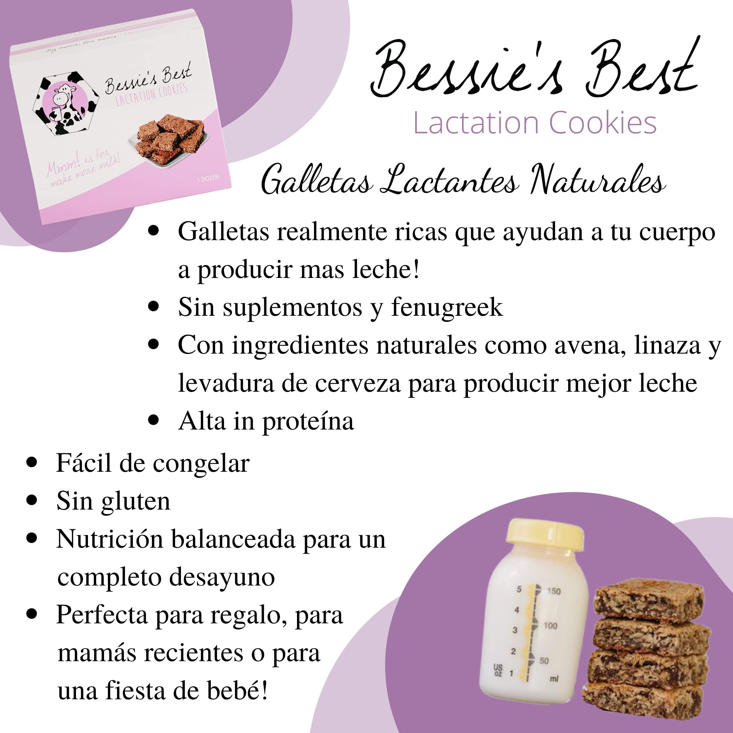 Bessie's Best Lactation Cookies - Oatmeal Peanut Butter Chocolate Chip for Breastfeeding Moms | 1 Dozen Pack | Milk Supply Boost Snacks