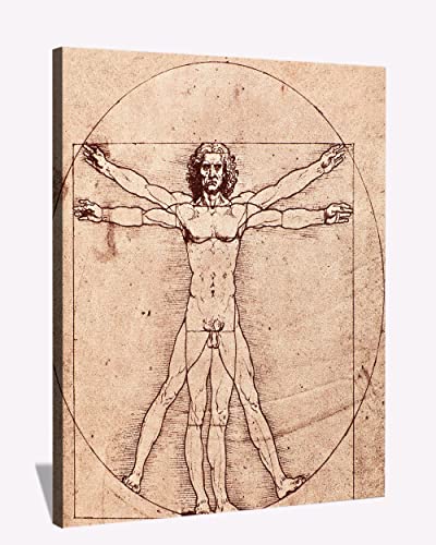 Vitruvian Man