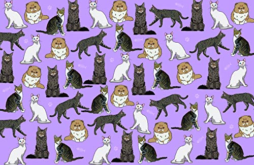 Cat Chaos