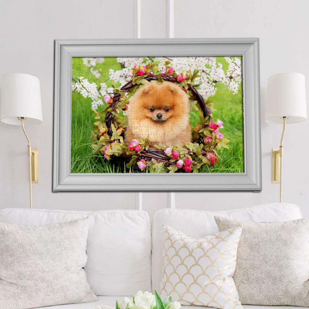 ColourLife 300/500/1000 Piece Wooden Jigsaw Puzzle - Pomeranian Dog in Basket Artwork, Fun & Challenging Puzzle Game for Adults & Teens - Perfect for Family Game Night, Stress Relief & Home Decor