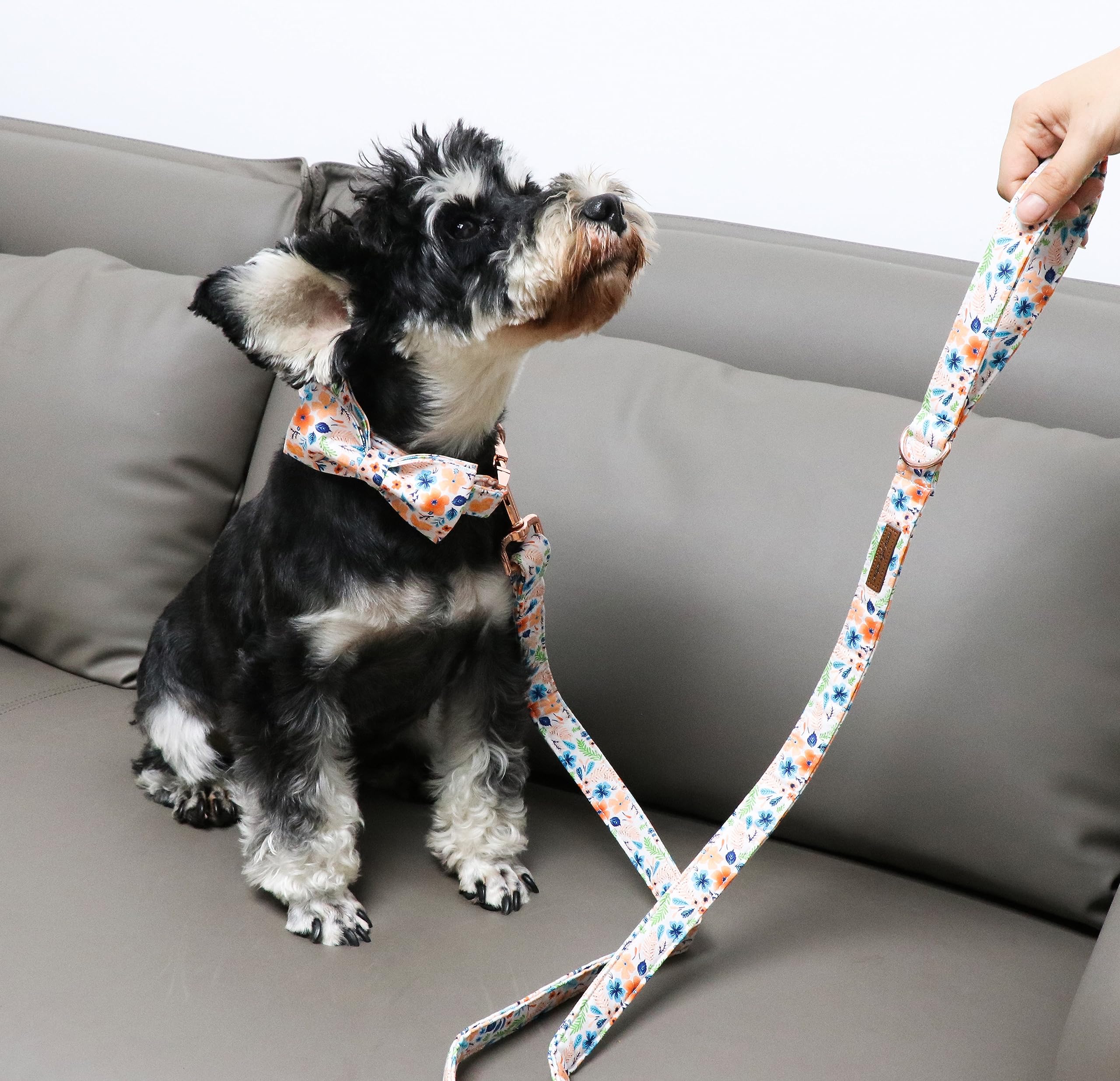 Stylish Cotton Dog Collar with Bow Tie Floral Plaid Pattern - Adjustable Pet Collar for Small Medium Large Dogs - Perfect for Daily Walks, Pet Parties & Gifts