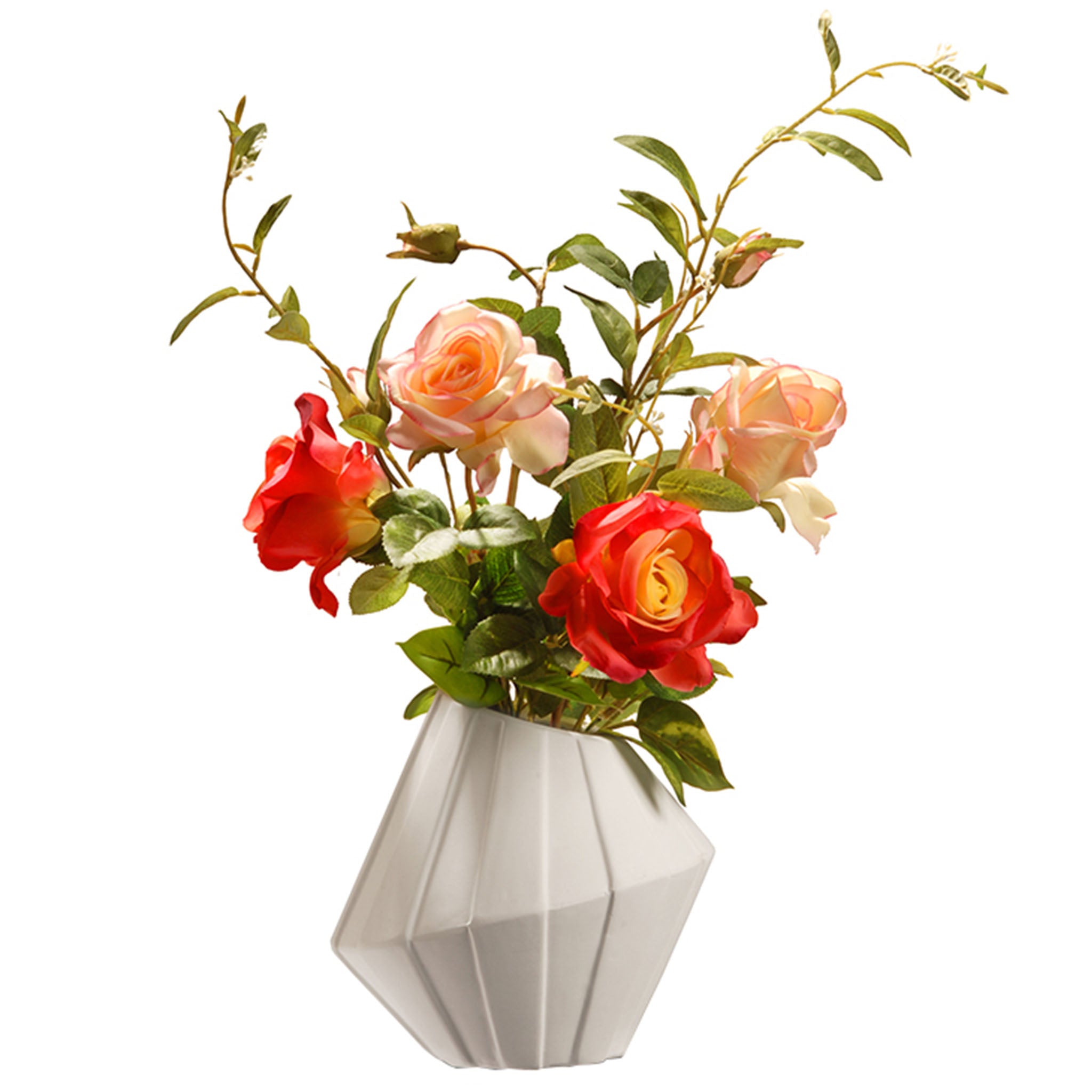 22 Potted Rose Flowers - Fresh Live Plants for Home Garden, Wedding, and Gift Decor | Indoor & Outdoor Planting | Perfect for Valentine's Day, Mother's Day, and Anniversary Gifts