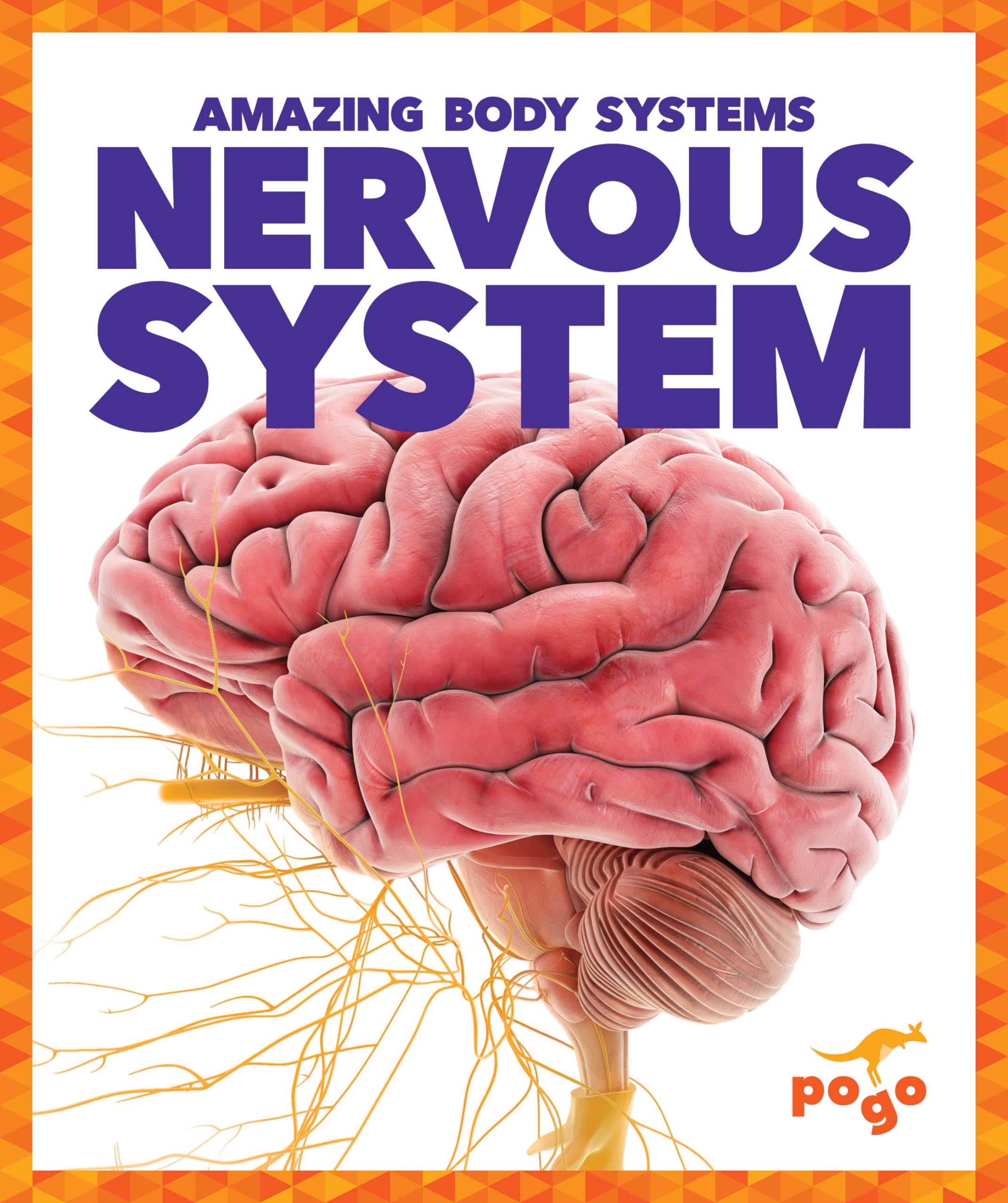 Nervous System Book for Kids - Pogo Books: Amazing Body Systems | Educational Science Reading for Classroom & Homeschool Learning