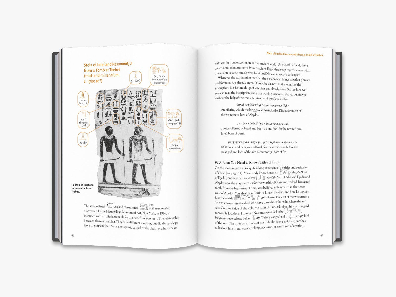 Learn Egyptian Hieroglyphs for Beginners - Ancient Language Guide & Translation Tips | Perfect for History Buffs, Students & Travelers Exploring Egypt