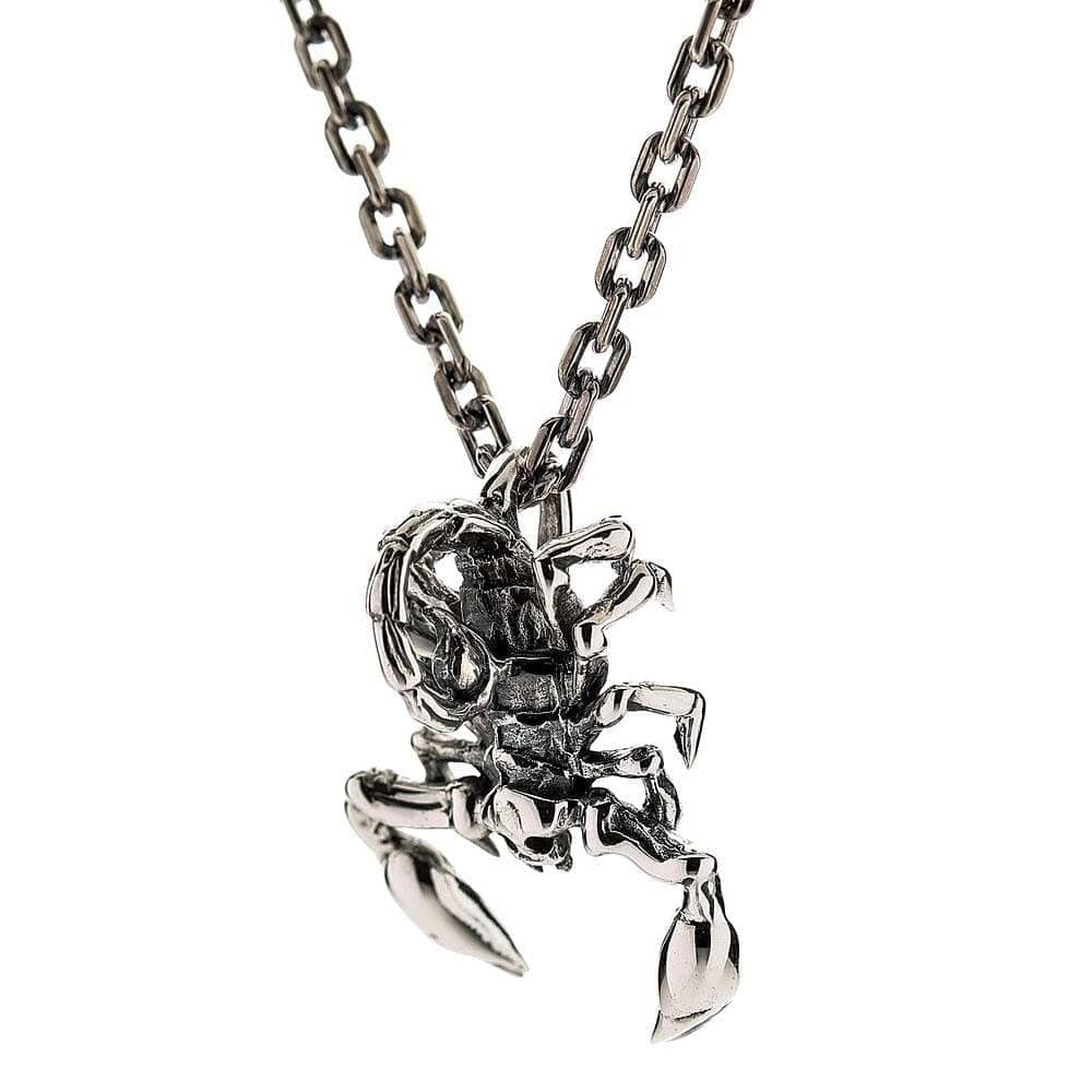 Scorpion Sterling Silver Pendant Necklace for Men & Women | 925 Silver Jewelry Gift for Birthday, Anniversary | Gothic Fashion Accessory for Everyday Wear & Special Occasions