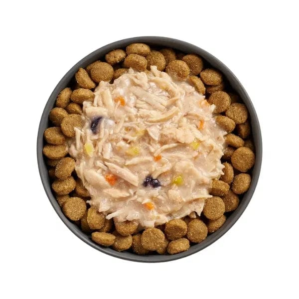 Go! Solutions Booster Immune Health Shredded Chicken & Salmon in Bone Broth Dog Food Topper - High Protein Grain-Free Supplement for Dogs - Perfect for Picky Eaters, Senior Dogs & Digestive Support
