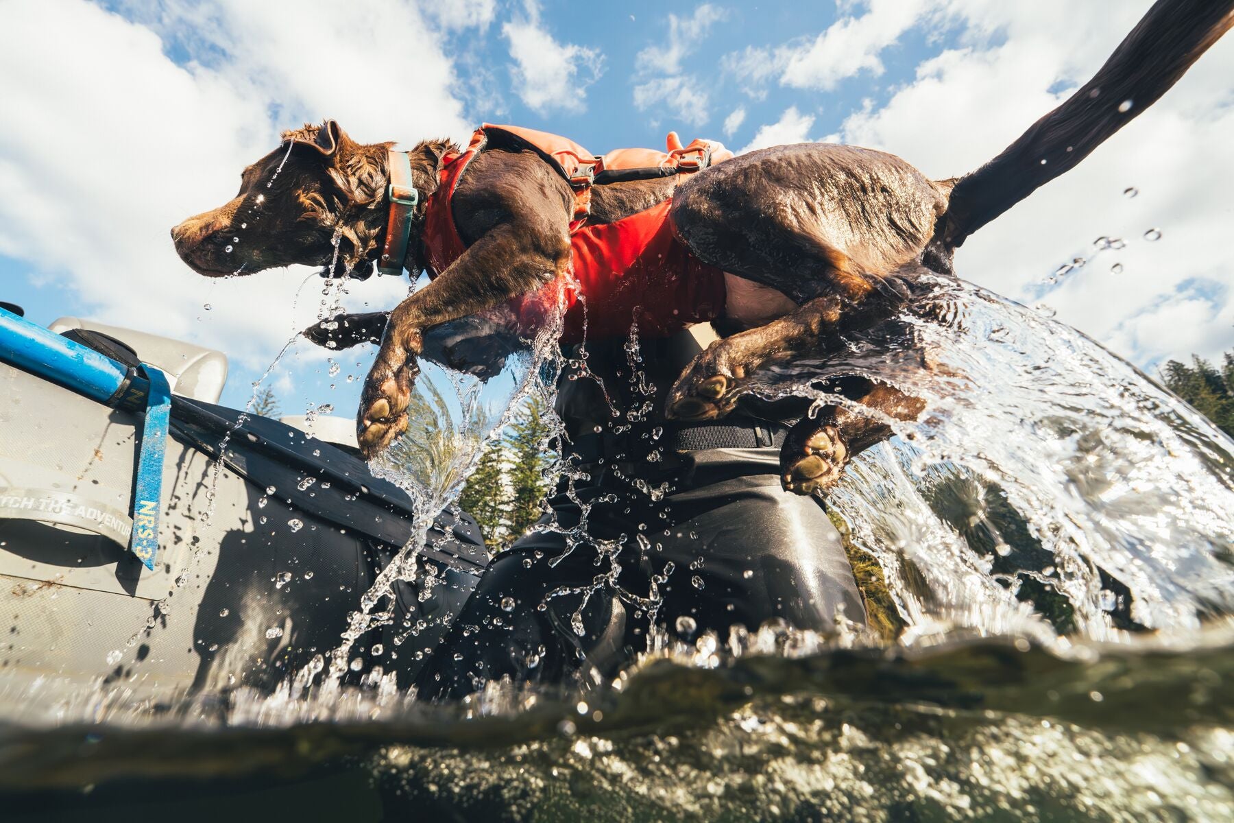 Ruffwear® Confluence™ Dog Life Jacket with Harness - Biolumin Blue | Water Safety Vest for Swimming, Boating & Outdoor Adventures