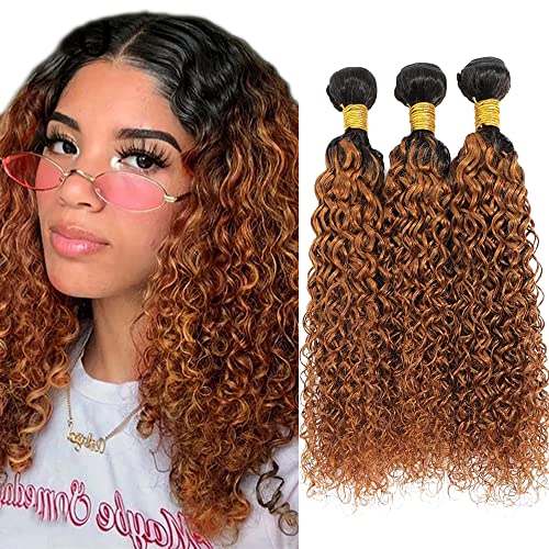 Ombre Human Hair Bundles 1B/30 - Kinky Curly Virgin Hair Weft Extensions (26/28/30 Inch) | Two-Tone Brown Unprocessed Human Hair Weave | Perfect for Protective Styles, Wig Making & Natural Hair Extensions