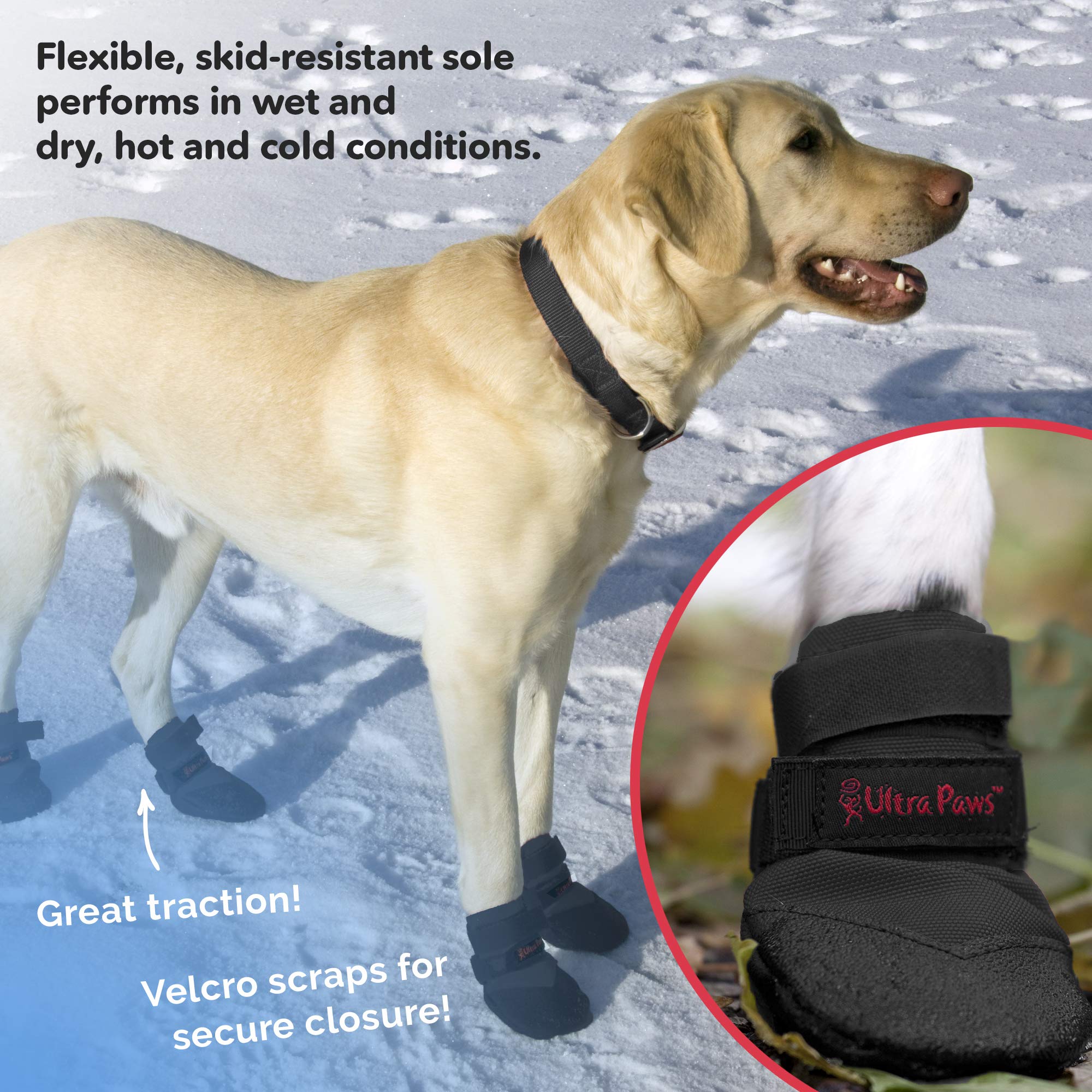 Durable Dog Boots for Hot Pavement - Heat & Water Resistant Paw Protector for Small Dogs (Size 2) | Perfect for Summer Walks, Hiking & Outdoor Adventures