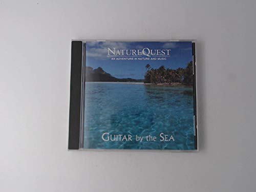 NatureQuest: Acoustic Guitar for Beach & Outdoor Music - Perfect for Camping, Bonfires & Relaxing by the Ocean