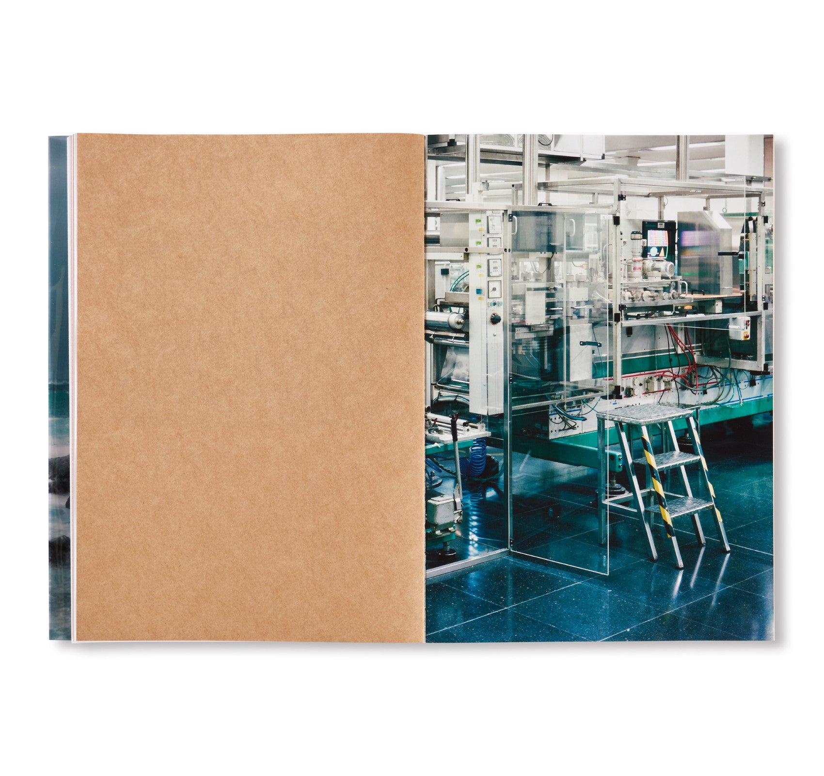 Nature & Politics by Thomas Struth - Fine Art Photography Book for Collectors - Perfect for Home Decor, Office Display & Art Enthusiasts