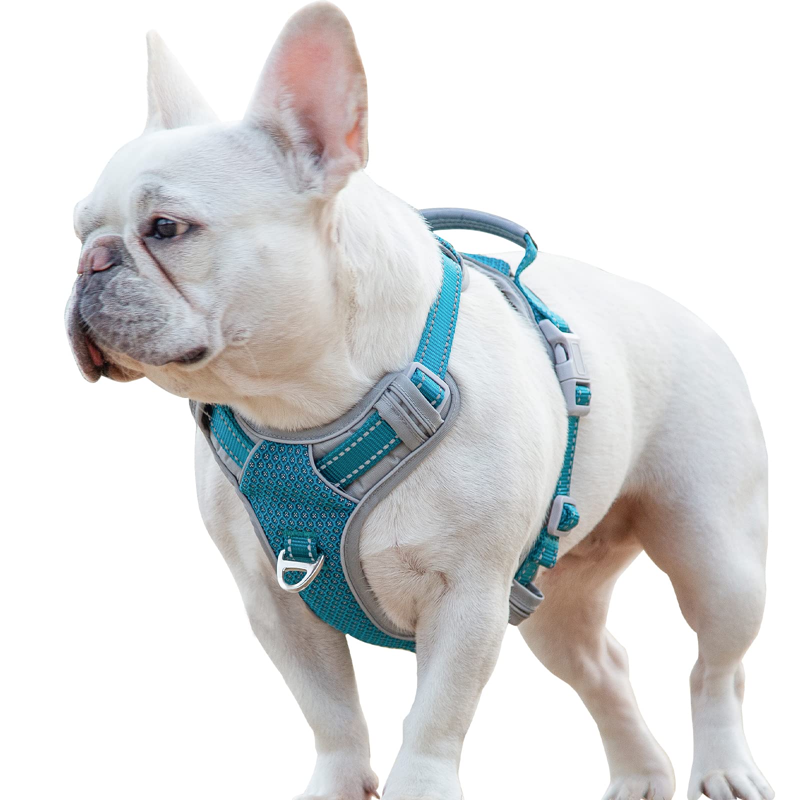 Huntboo No Pull Dog Harness - Adjustable Front Clip Dog Vest with Lift Handle, Soft Breathable Fabric & Double Leash Clips for Walking, Hiking, Training - Blue (Large) - Perfect for Small, Medium & Large Dogs