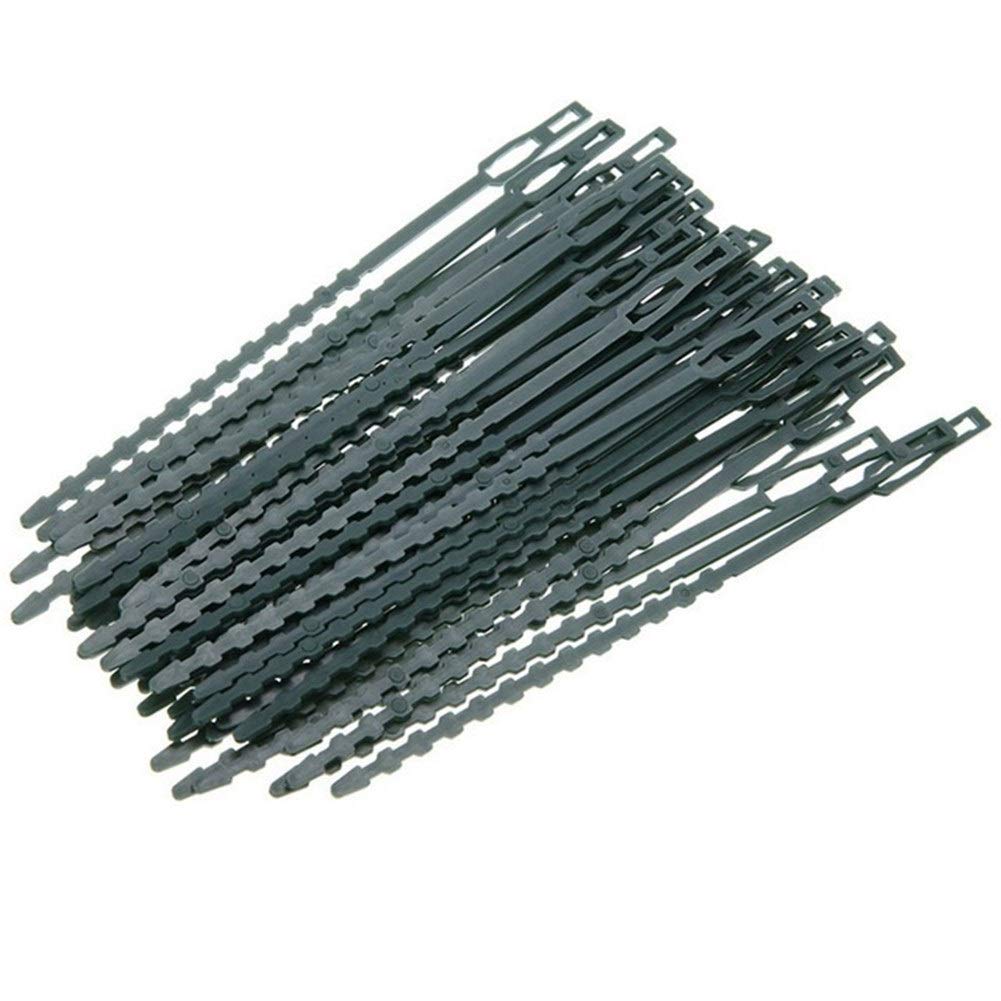 Self-Locking Adjustable Plastic Plant Cable Ties - 50Pcs Reusable Garden Tree Climbing Supports (17x0.7cm) - Perfect for Securing Vines, Training Plants & Organizing Garden Tools - Ideal for Home Gardening, Landscaping & DIY Projects