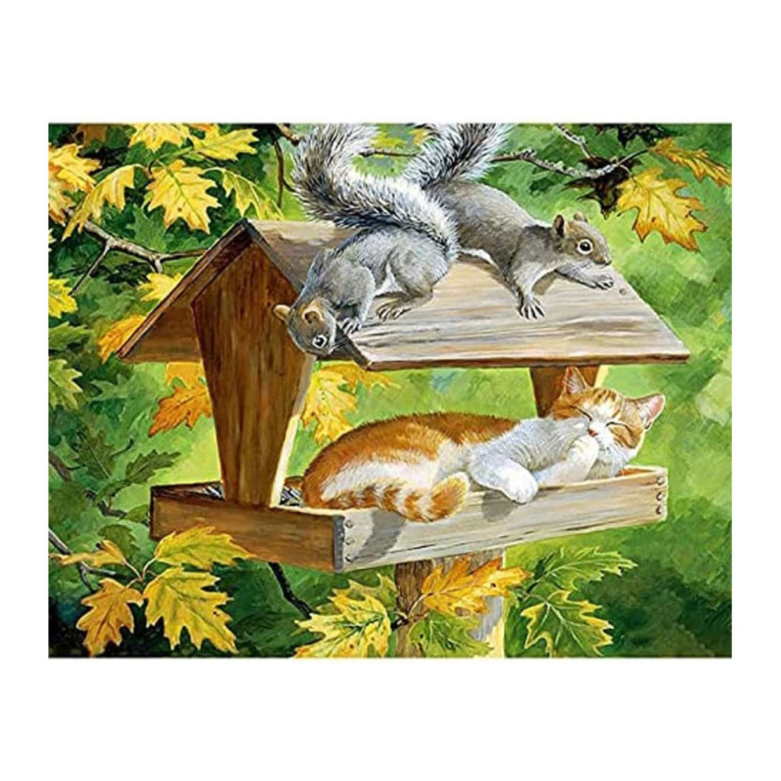 Adult Paint by Numbers Kit - Cute Squirrel DIY Painting for Beginners, 60x80cm Home Wall Art Decor | Perfect Relaxing Craft Gift for Stress Relief & Creative Hobby