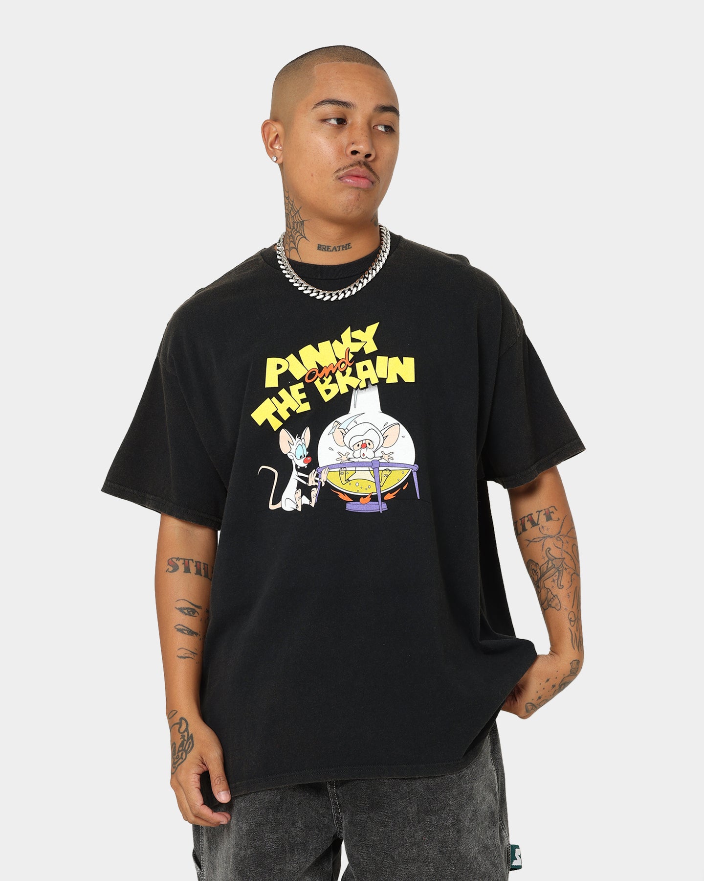 Vintage Pinky And The Brain Graphic T-Shirt - Black Wash Distressed Retro Cartoon Tee for Men & Women - Perfect for Cosplay, Comic Con, and 90s Nostalgia Fashion
