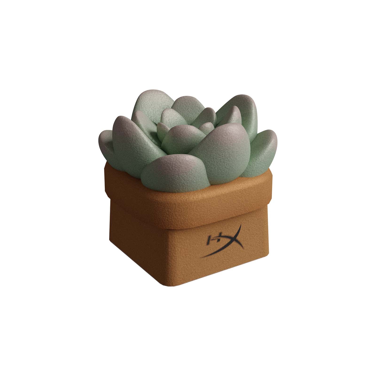 HX3D Custom Keycap - Sally the Succulent Design for Mechanical Keyboards | Perfect for Gaming & Typing Enthusiasts